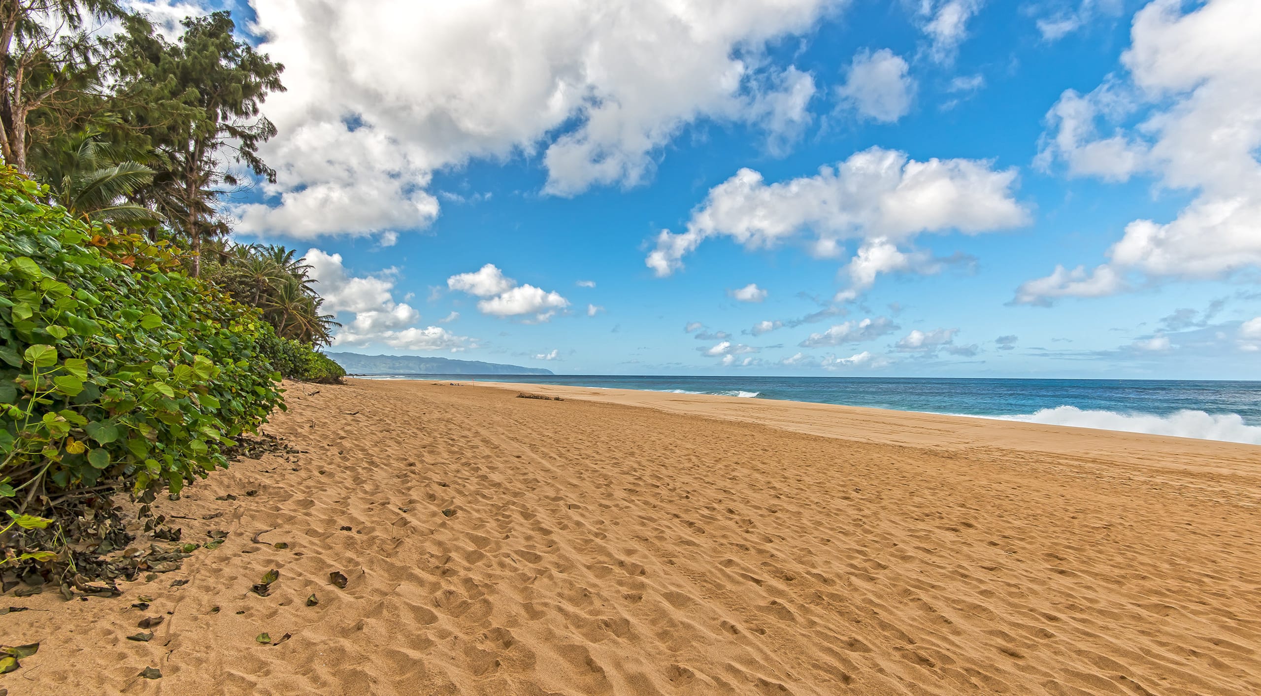North Shore Rural Serene Home with Ocean-MT Views - Photo 64