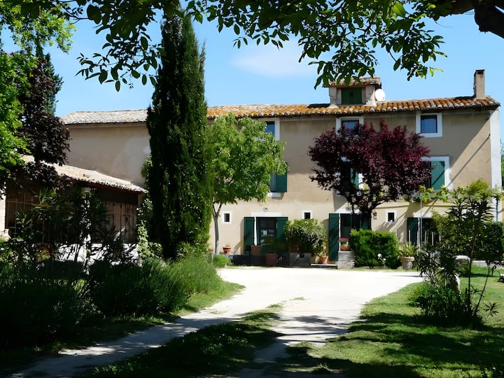 Le Castor - L'Isle-sur-la-Sorgue
