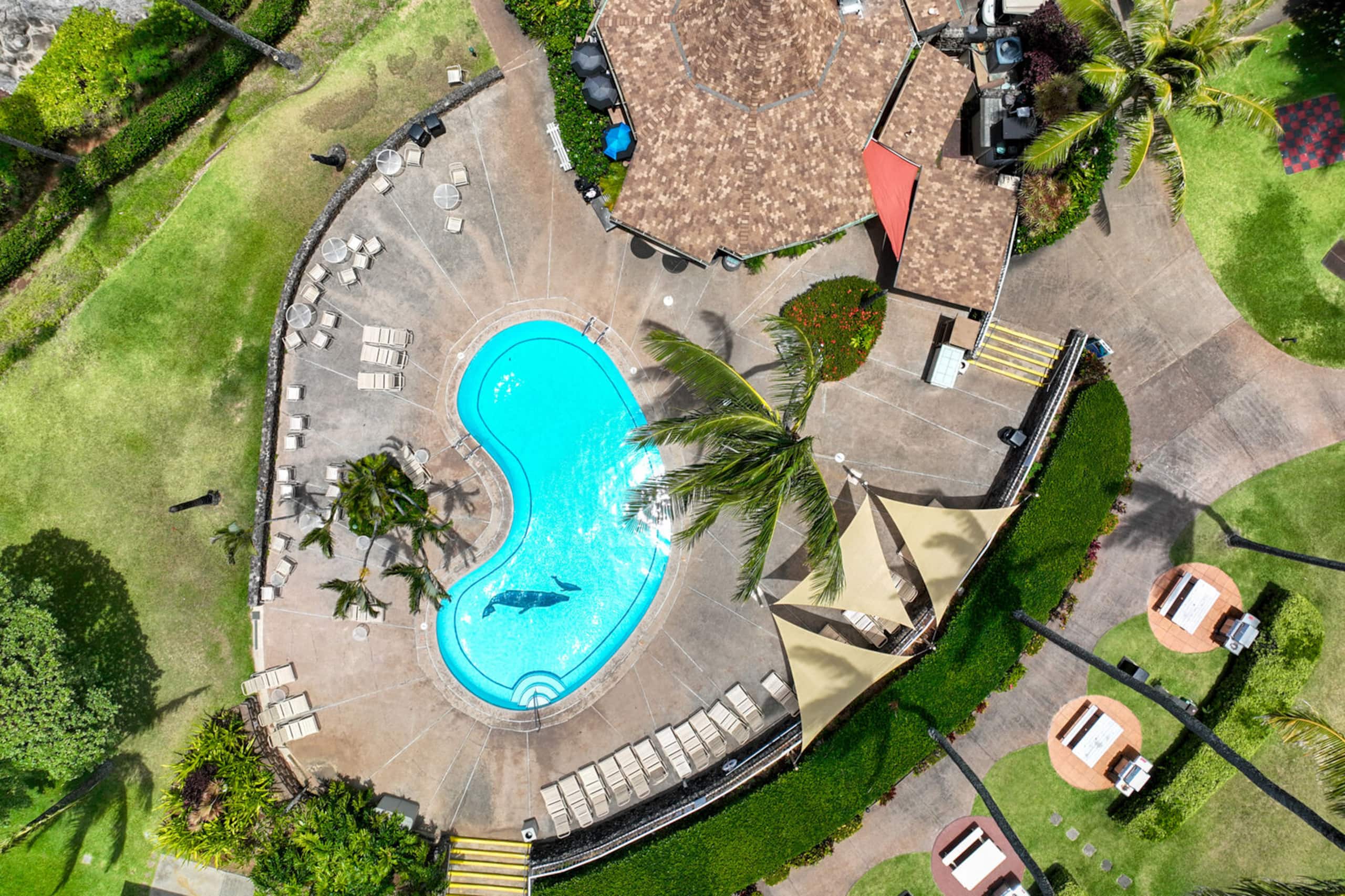 Condo in Lahaina · ★5.0 · 1 bedroom · 2 beds · 1 bath - Image 22