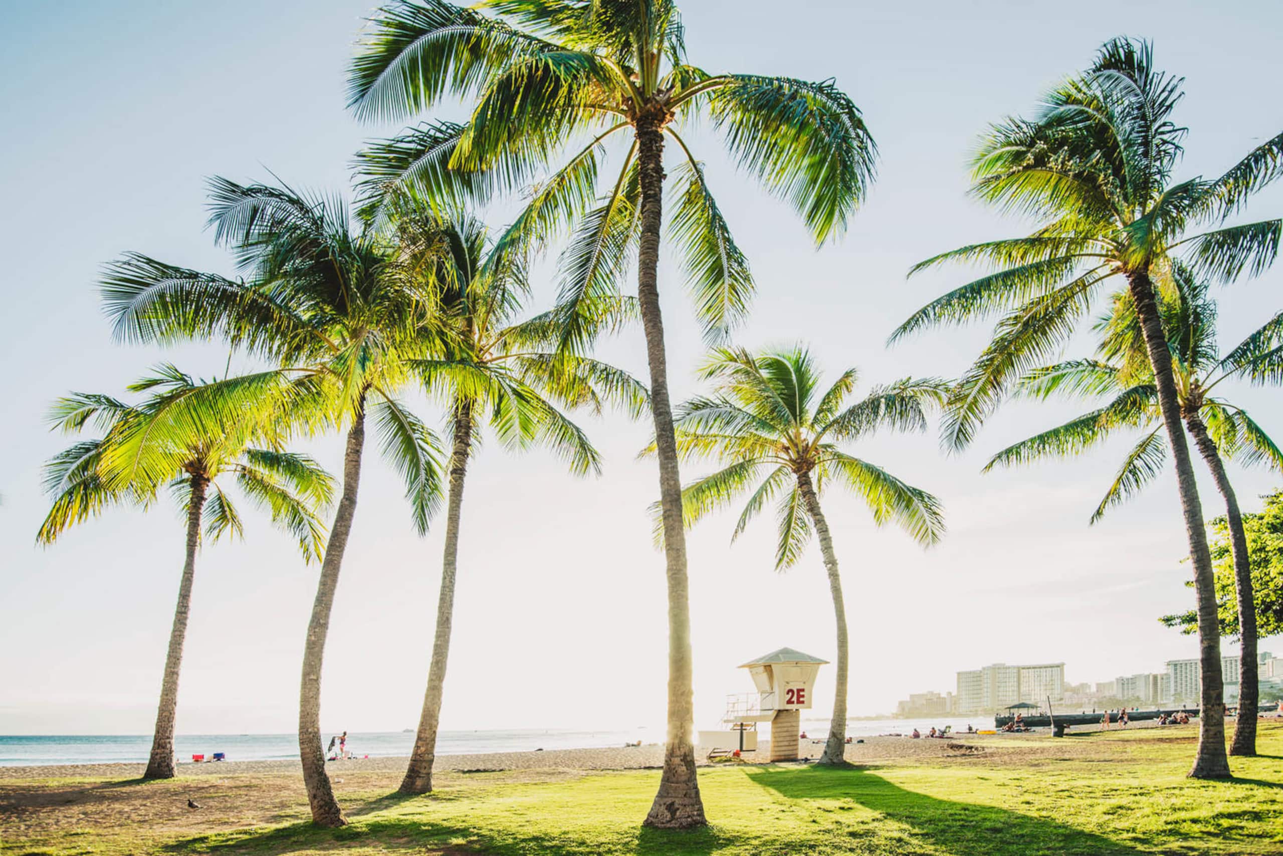 Condo in Honolulu · ★4.45 · 1 bedroom · 3 beds · 1 private bath - Image 25