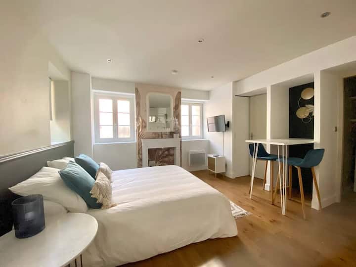 Studio Calme, Spacieux Sur Le Canal Du Midi - Toulouse