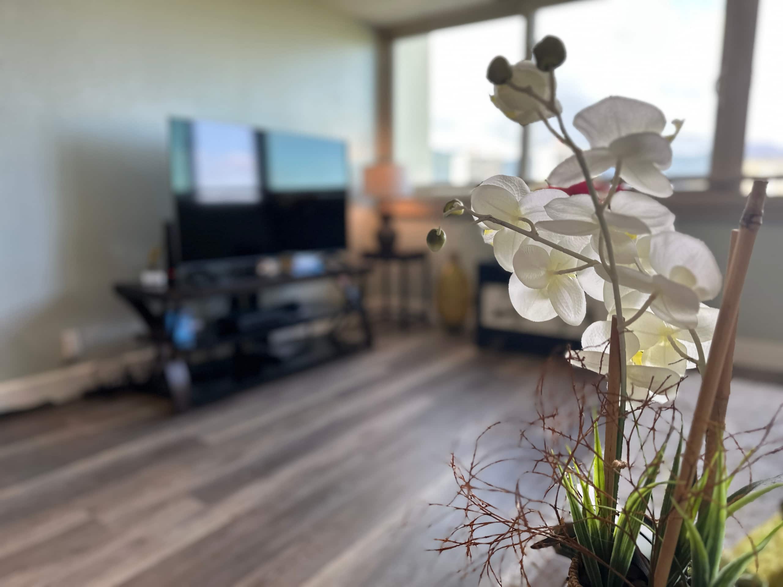 Condo in Honolulu · ★4.94 · 1 bedroom · 2 beds · 1 private bath - Image 7
