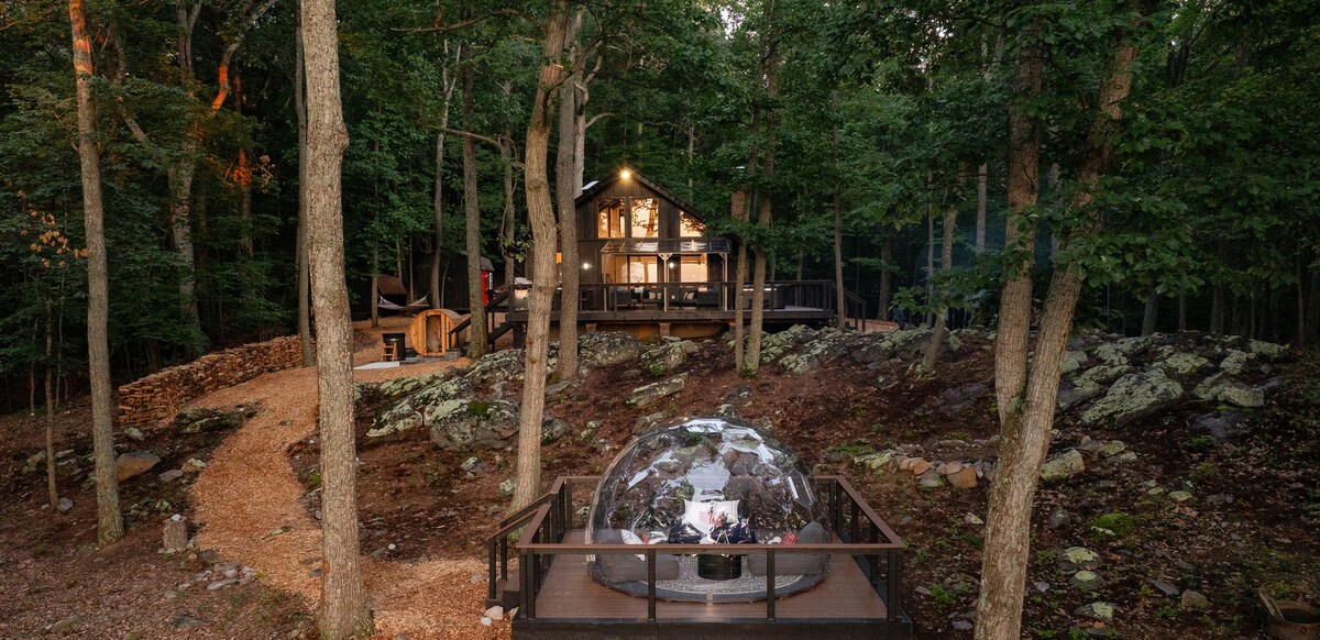 The exterior view showcases Emberwood's wooden chalet nestled among tall trees. A geodesic stargazing dome stands prominently in the foreground, surrounded by natural landscaping. A winding path leads from the dome to the chalet, emphasizing the serene forest setting.