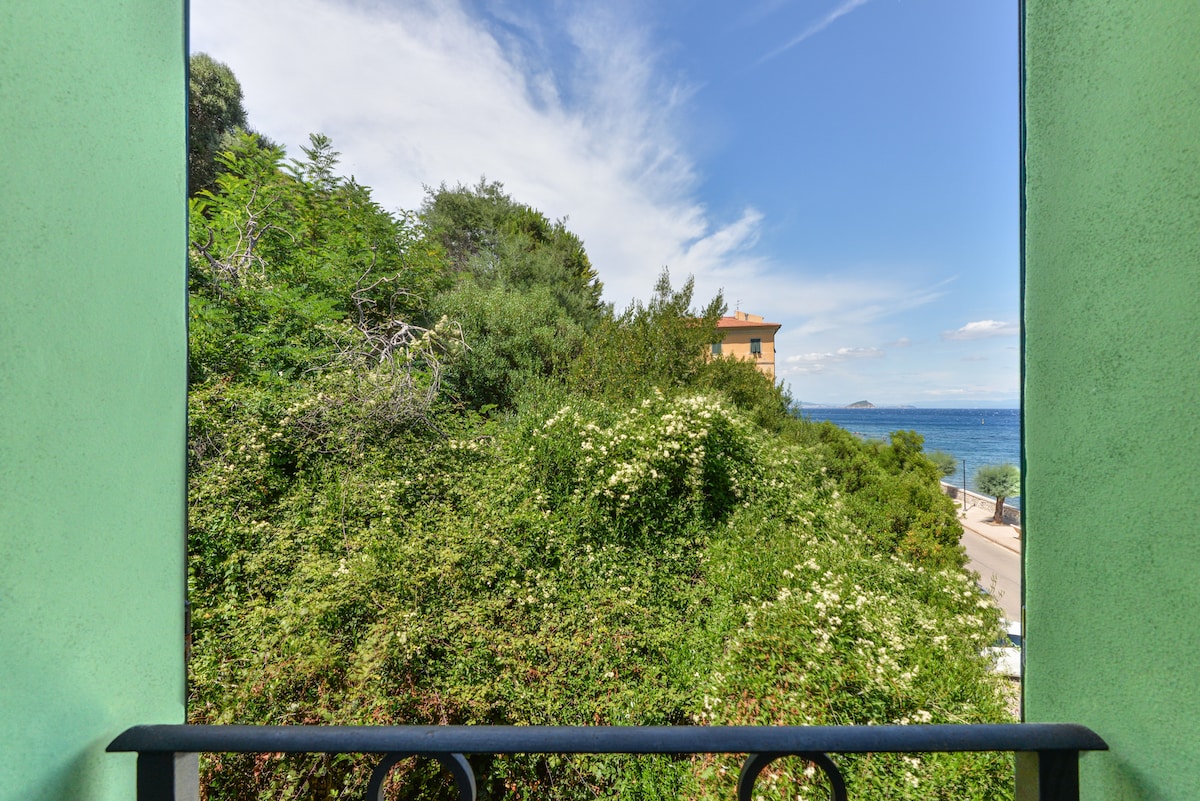 A view from a French balcony door framed by a balustrade showcases greenery with lush vegetation in the foreground and the sea in the background. The clear blue sky is visible above, enhancing the tranquil coastal setting.