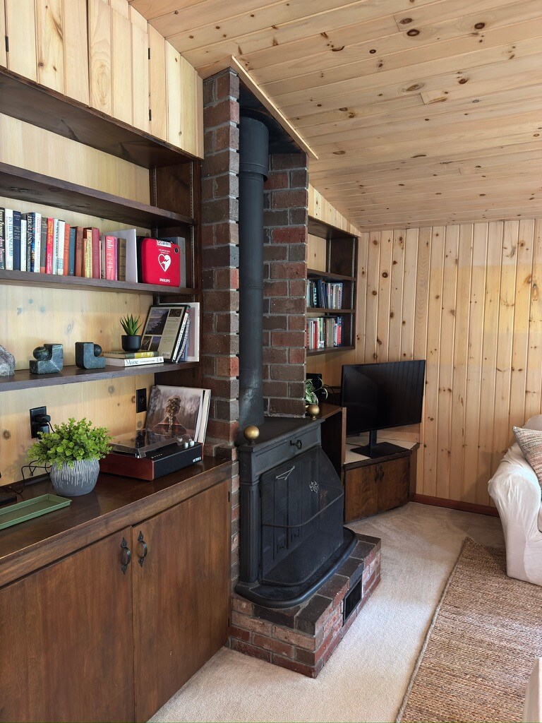 Bluetooth грамофон со избрани записи 