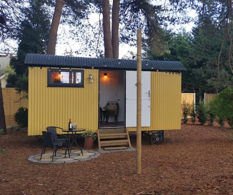 Top Airbnb: Forest Heath Shepherd's Huts- Yellow Hut in St. Leonards And St. Ives