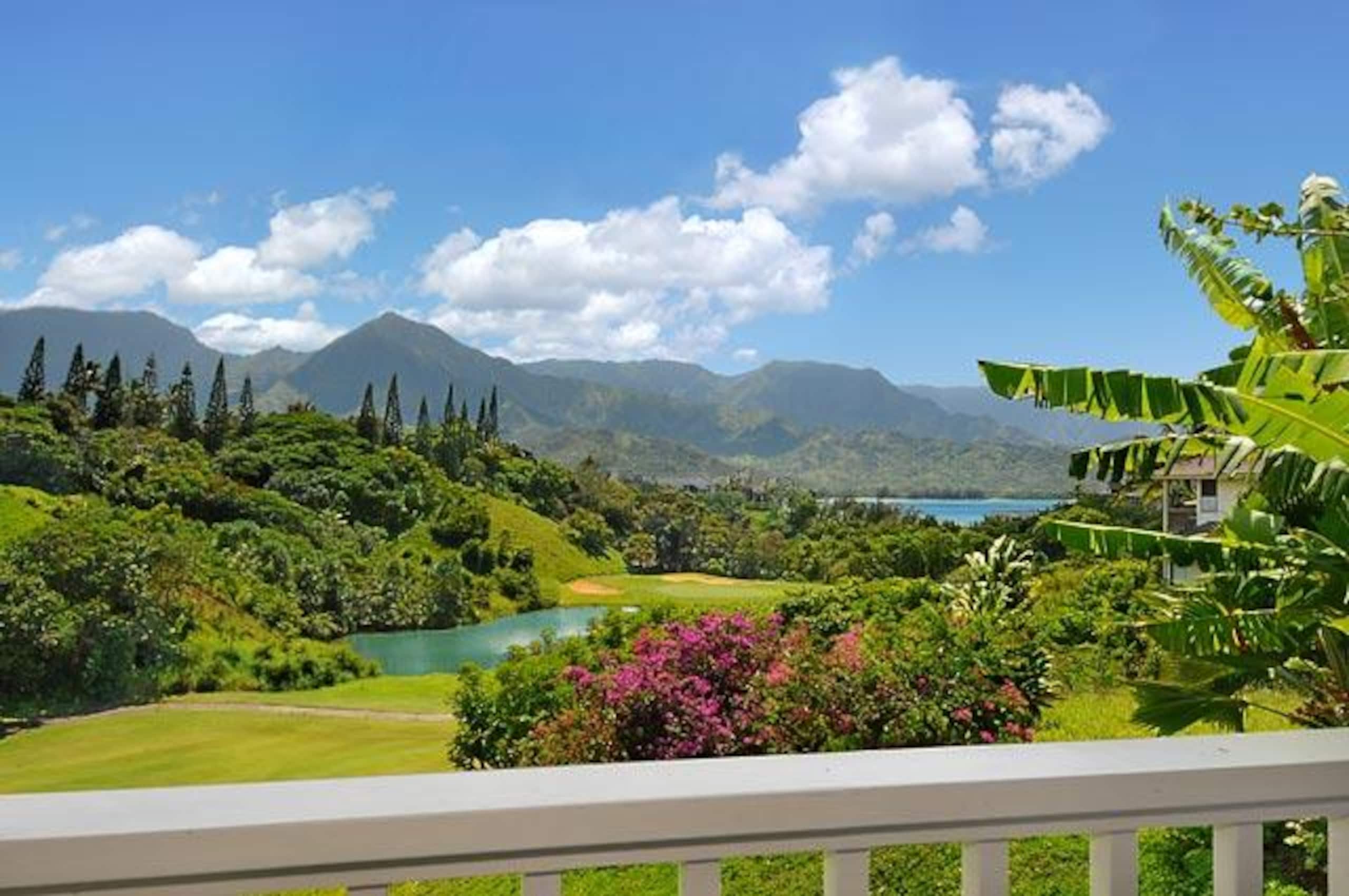 Home in Princeville · ★5.0 · 1 bedroom · 1 bed · 2.5 baths - Image 7