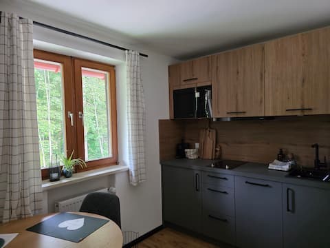 Popular Airbnb listing: Lofer apartment 25 sqm, with balcony in Reit Im Winkl