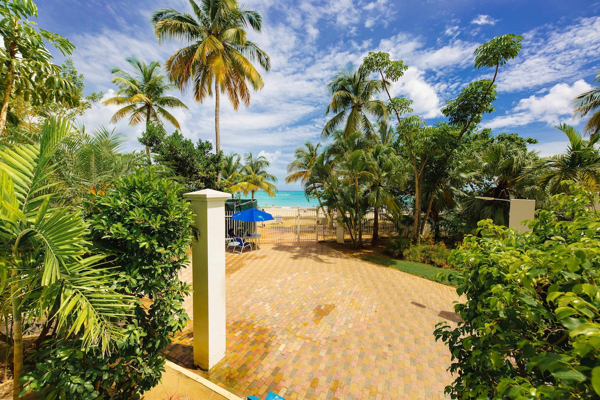 A serene scene captures a path leading to the beach, framed by palm trees and lush greenery. Sunlight filters through the leaves, creating gentle shadows on the paved surface. The ocean is visible in the distance, adding a touch of blue to the inviting landscape.