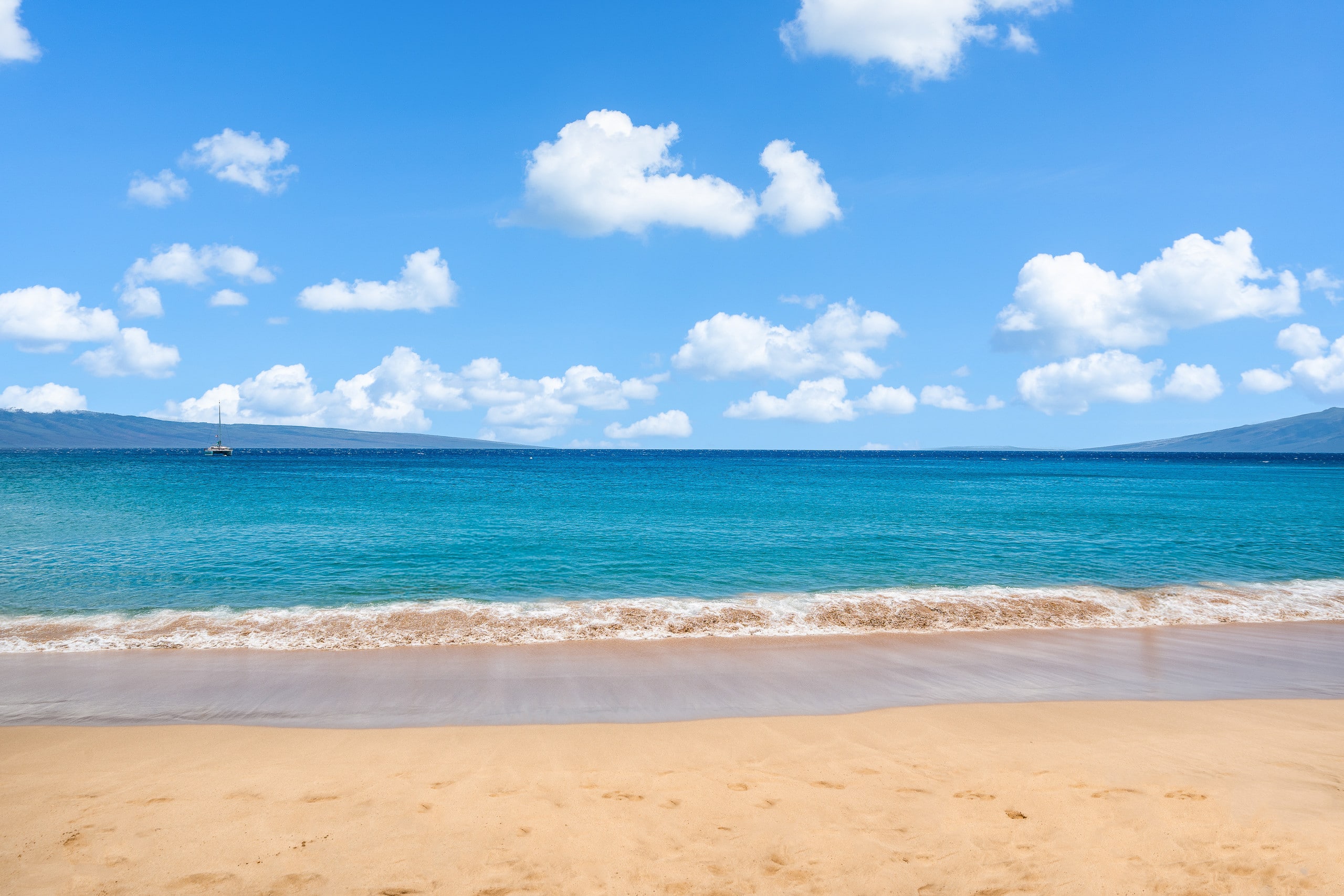 Condo in Lahaina · ★5.0 · 1 bedroom · 2 beds · 1 bath - Image 41