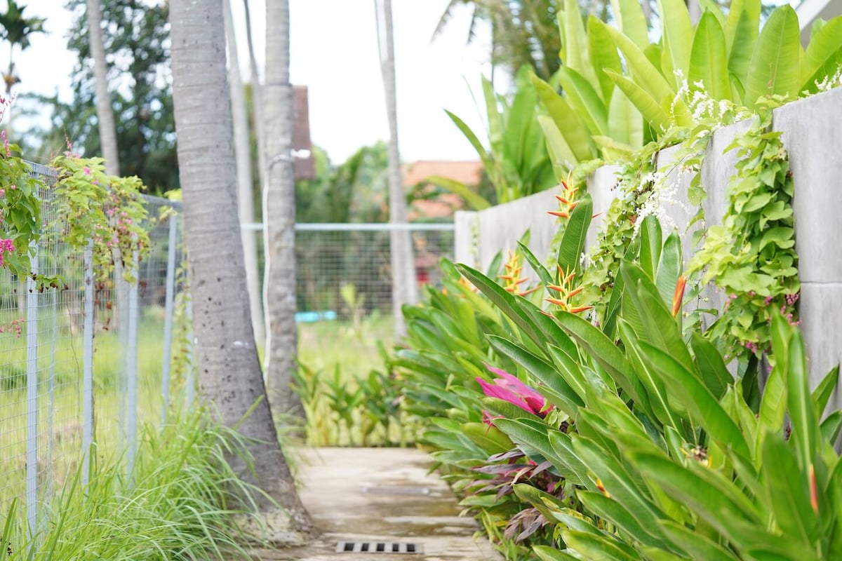 A narrow pathway is lined with lush greenery and colorful tropical plants. The walls are adorned with vibrant flowers, creating a serene atmosphere. Tall palm trees can be seen in the background, contributing to the overall tranquil setting of the garden.