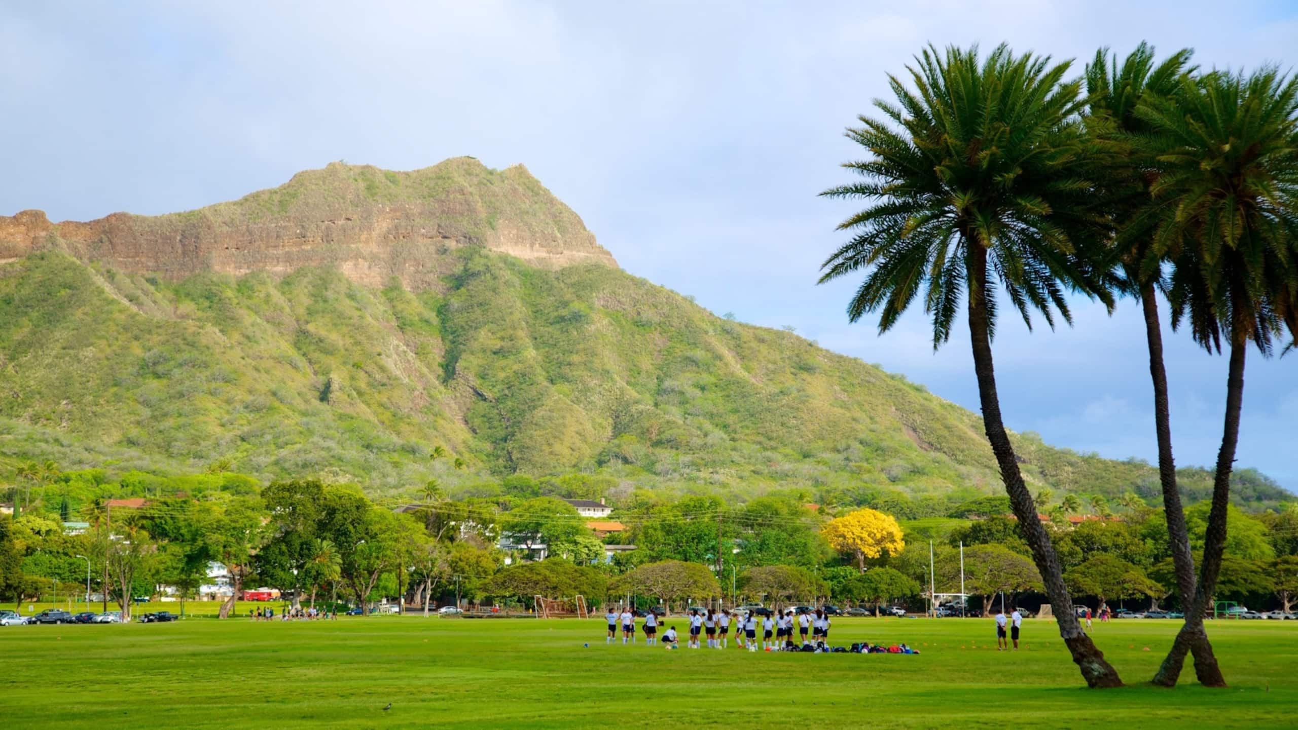 Hotel in Honolulu · ★4.65 · 1 bedroom · 2 beds · 1 private bath - Image 54