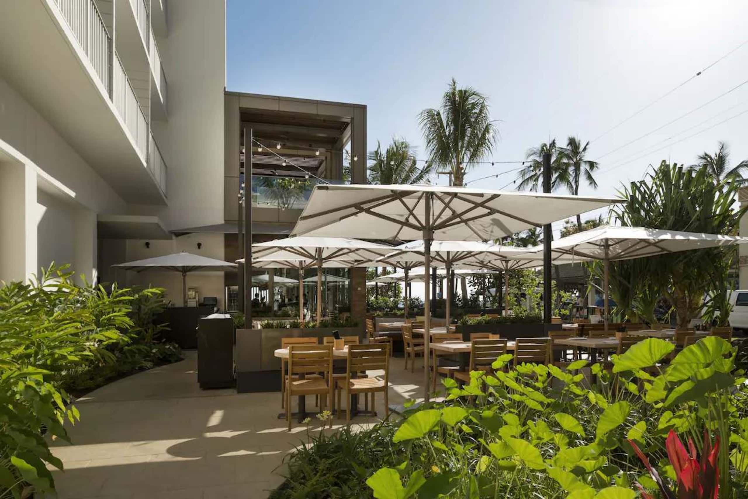 Hotel in Honolulu · ★4.63 · 1 bedroom · 2 beds · 1 private bath - Image 24