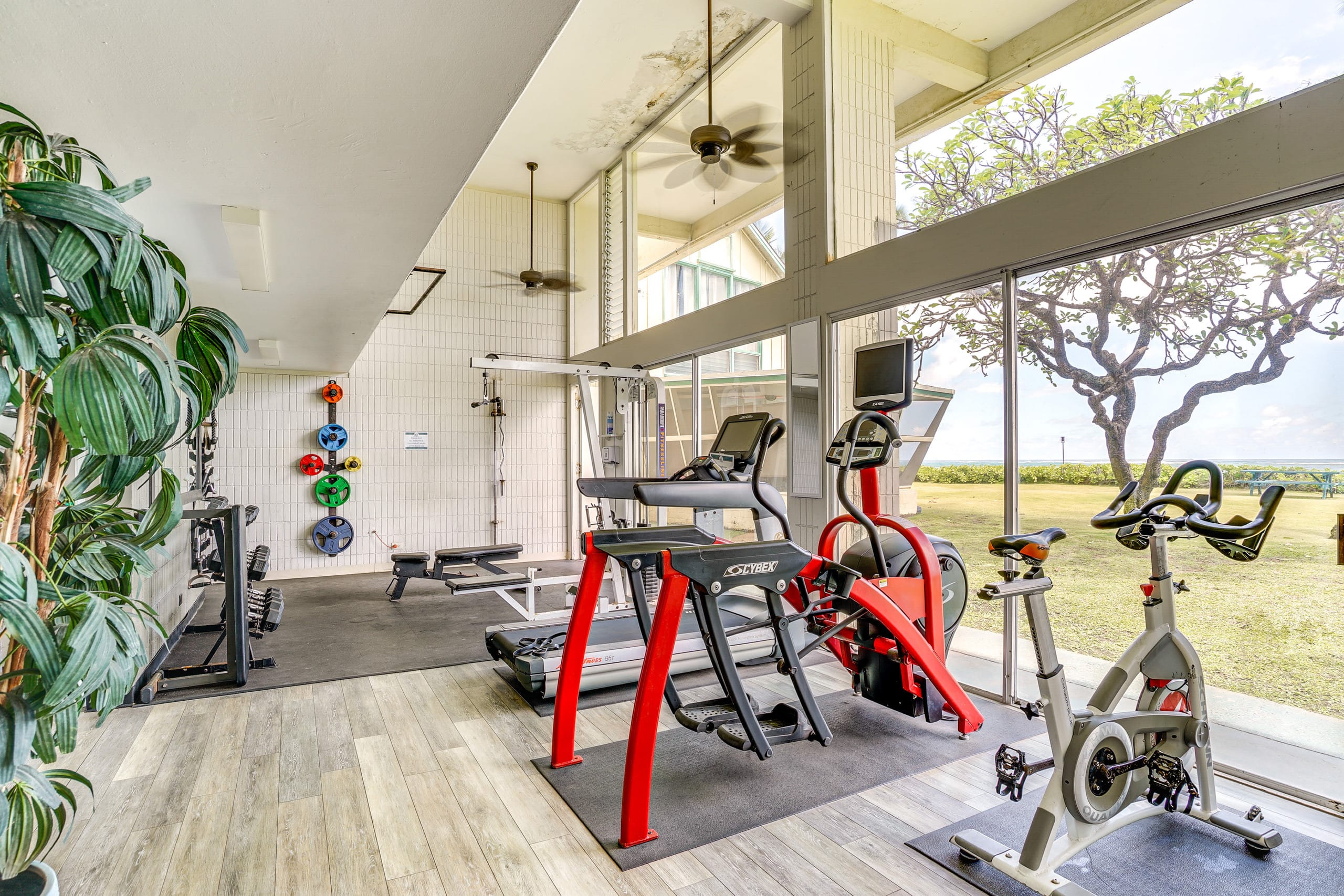 Hotel in Hauula · ★4.83 · 3 bedrooms · 8 beds · 2 private baths - Image 20