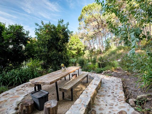 Luxury Forest Escape in Newlands gallery image 4