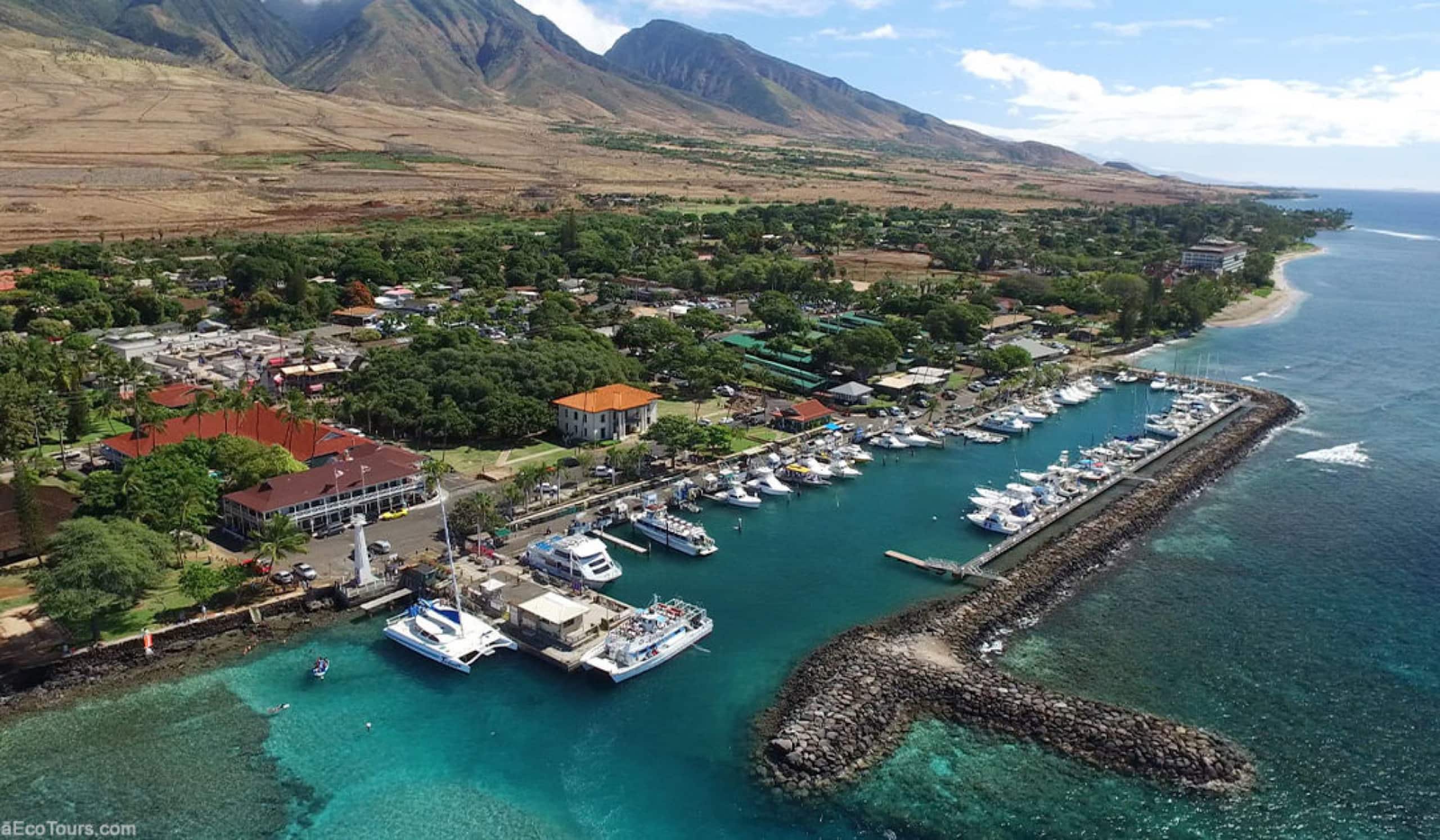 Hotel in Lahaina · ★4.6 · 1 bedroom · 2 beds · 1 private bath - Image 57