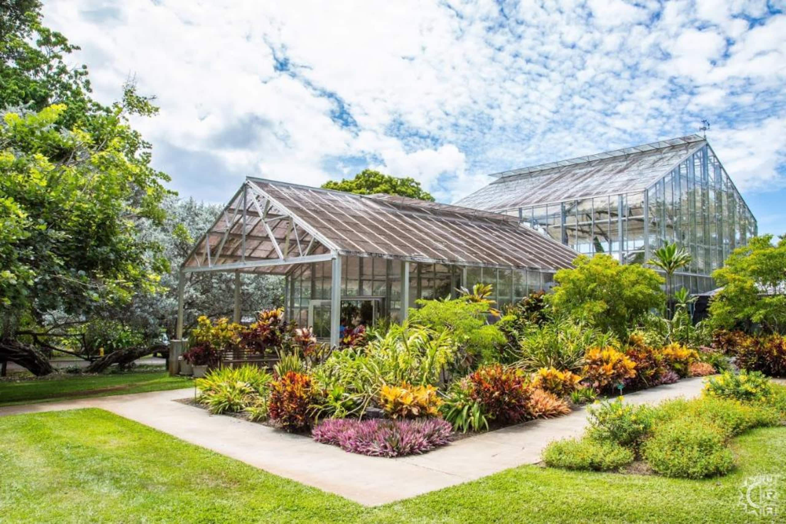 Hotel in Honolulu · ★4.75 · 1 bedroom · 2 beds · 1 private bath - Image 36