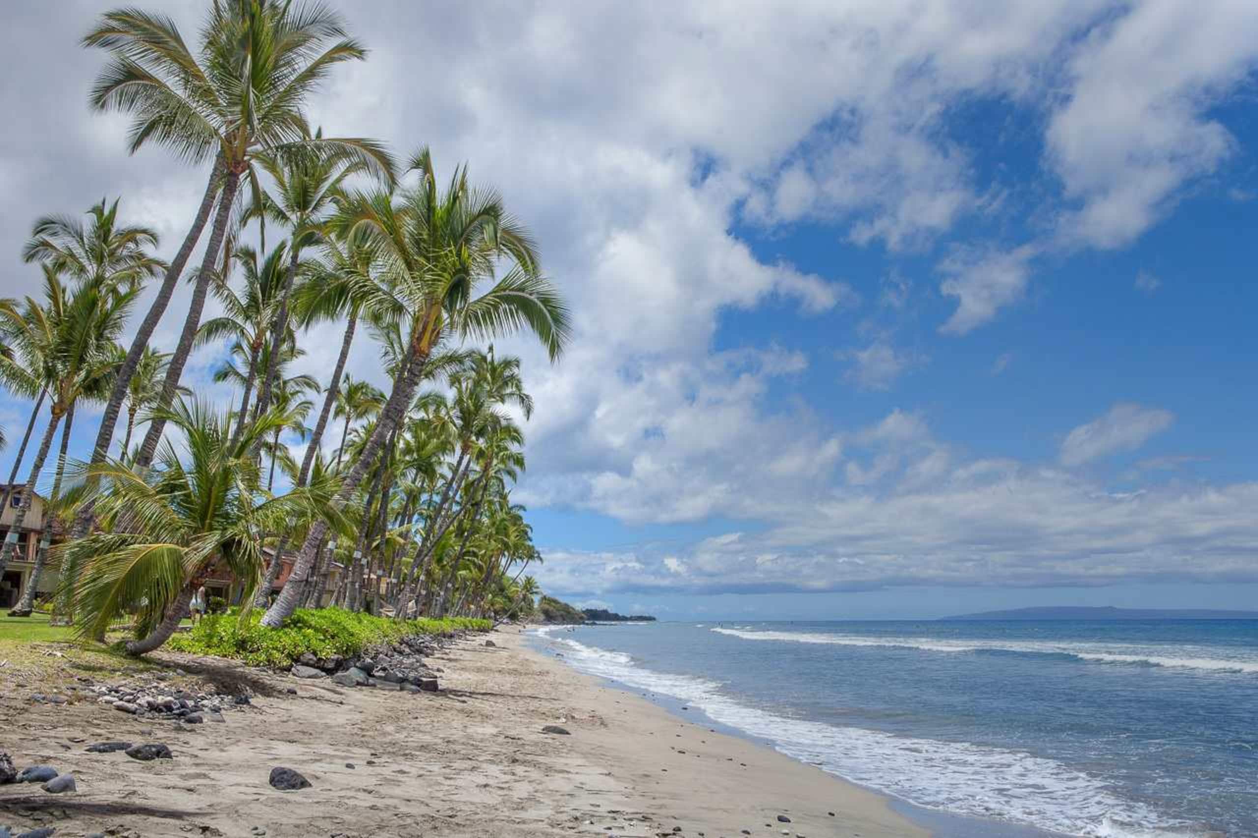 Townhouse in Lahaina · ★5.0 · 2 bedrooms · 3 beds · 2.5 baths - Image 34