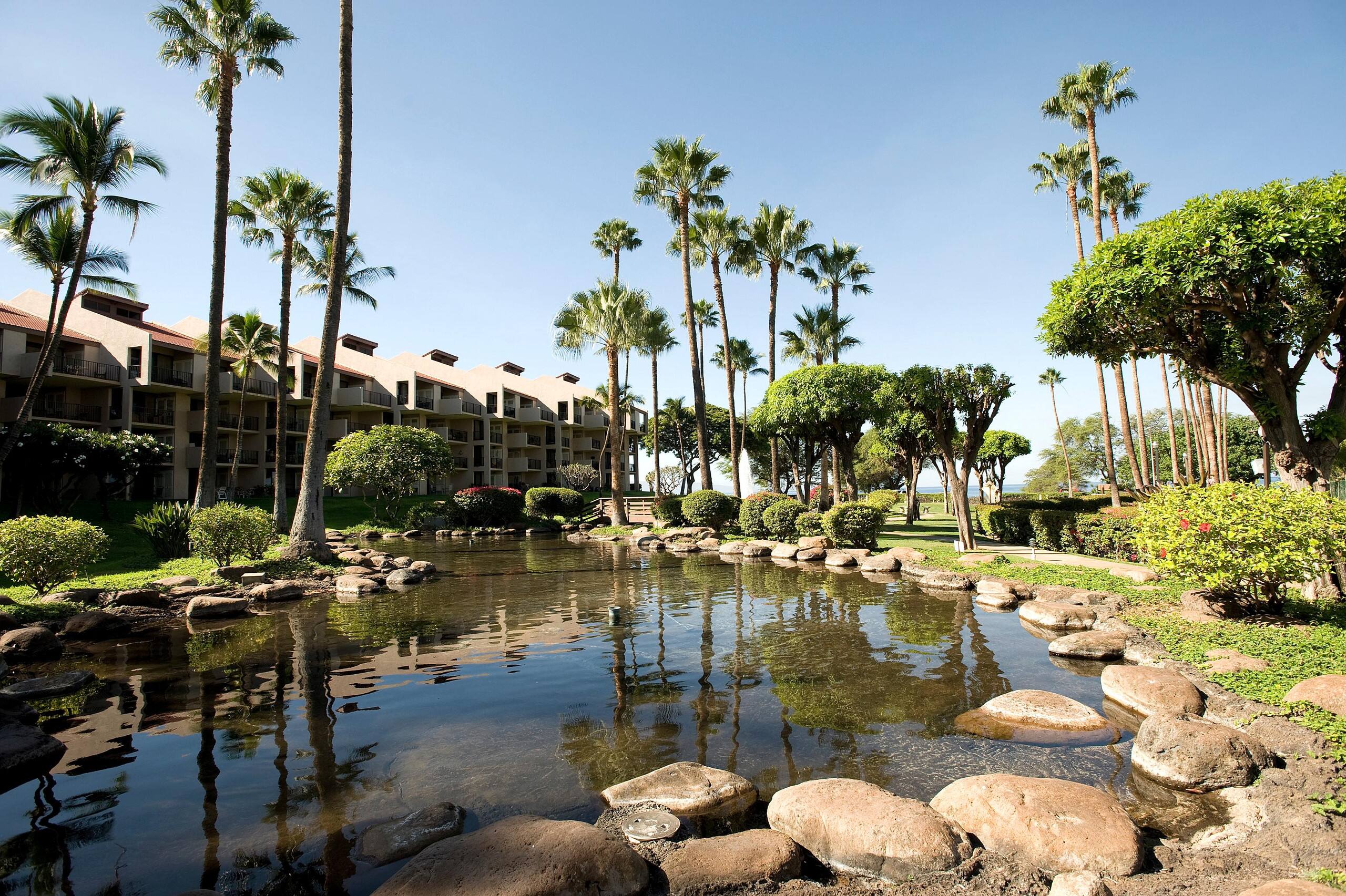 Condo in Kihei · ★4.8 · 2 bedrooms · 3 beds · 2 baths - Image 35
