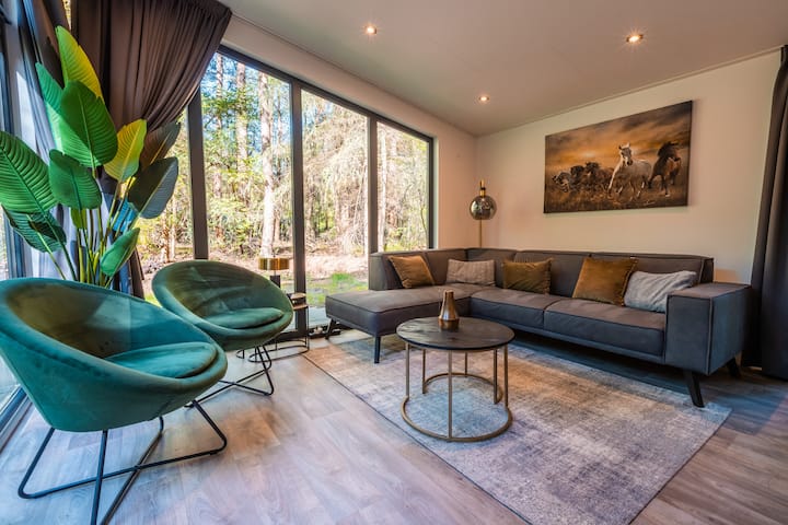 Zandborg Lodge | 6 Persons - Drenthe