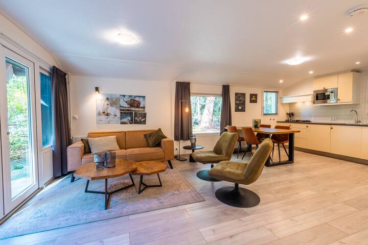 Houtenborg Lodge With Hot Tub | 4 Persons - Drenthe