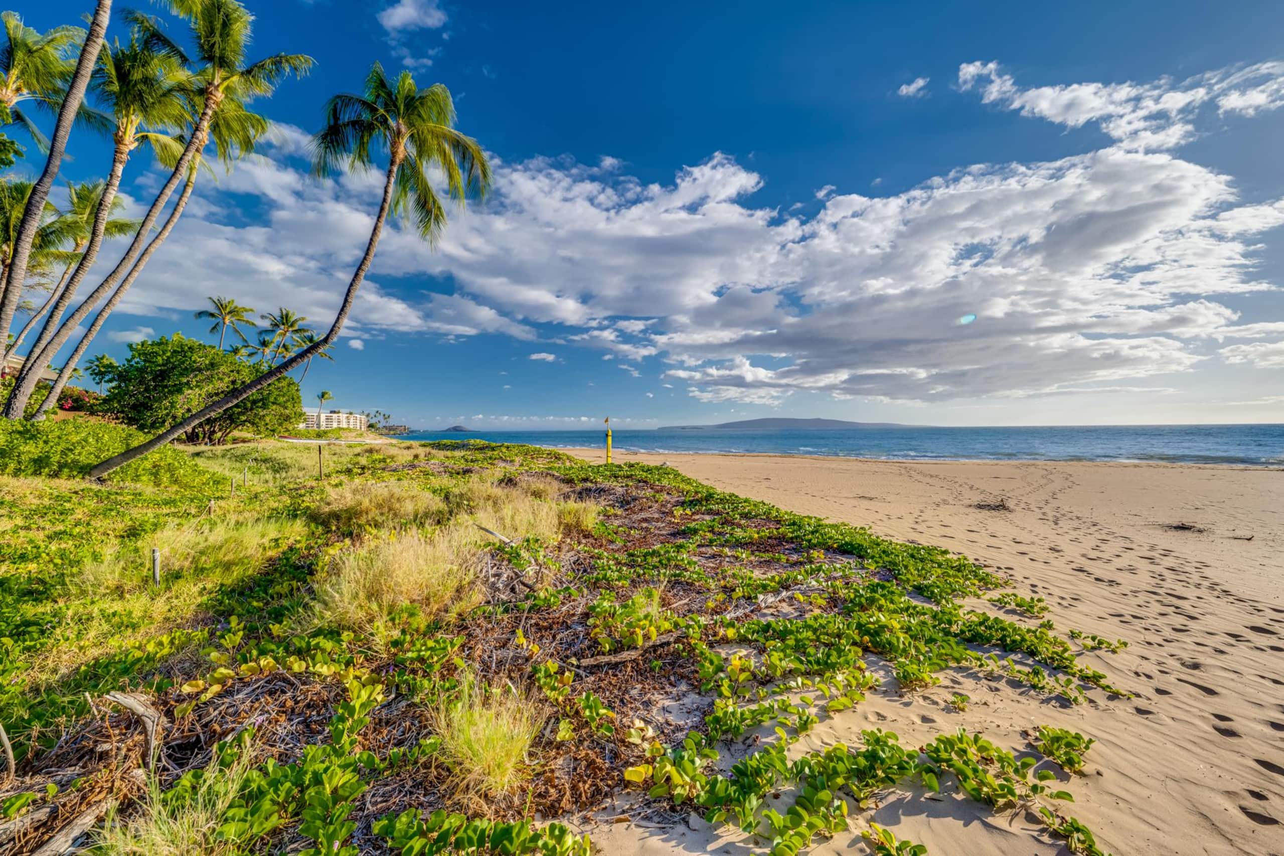 Maui Kamaole One Beachfront Condo at Charley Young - Image 50
