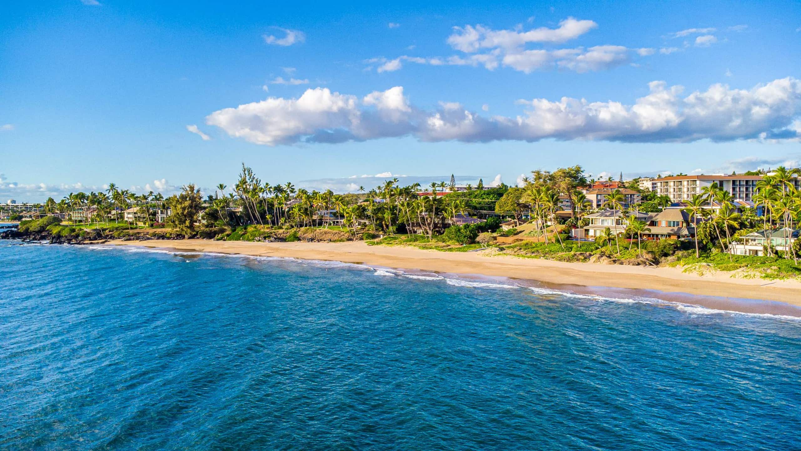 Maui Kamaole One Beachfront Condo at Charley Young - Image 55
