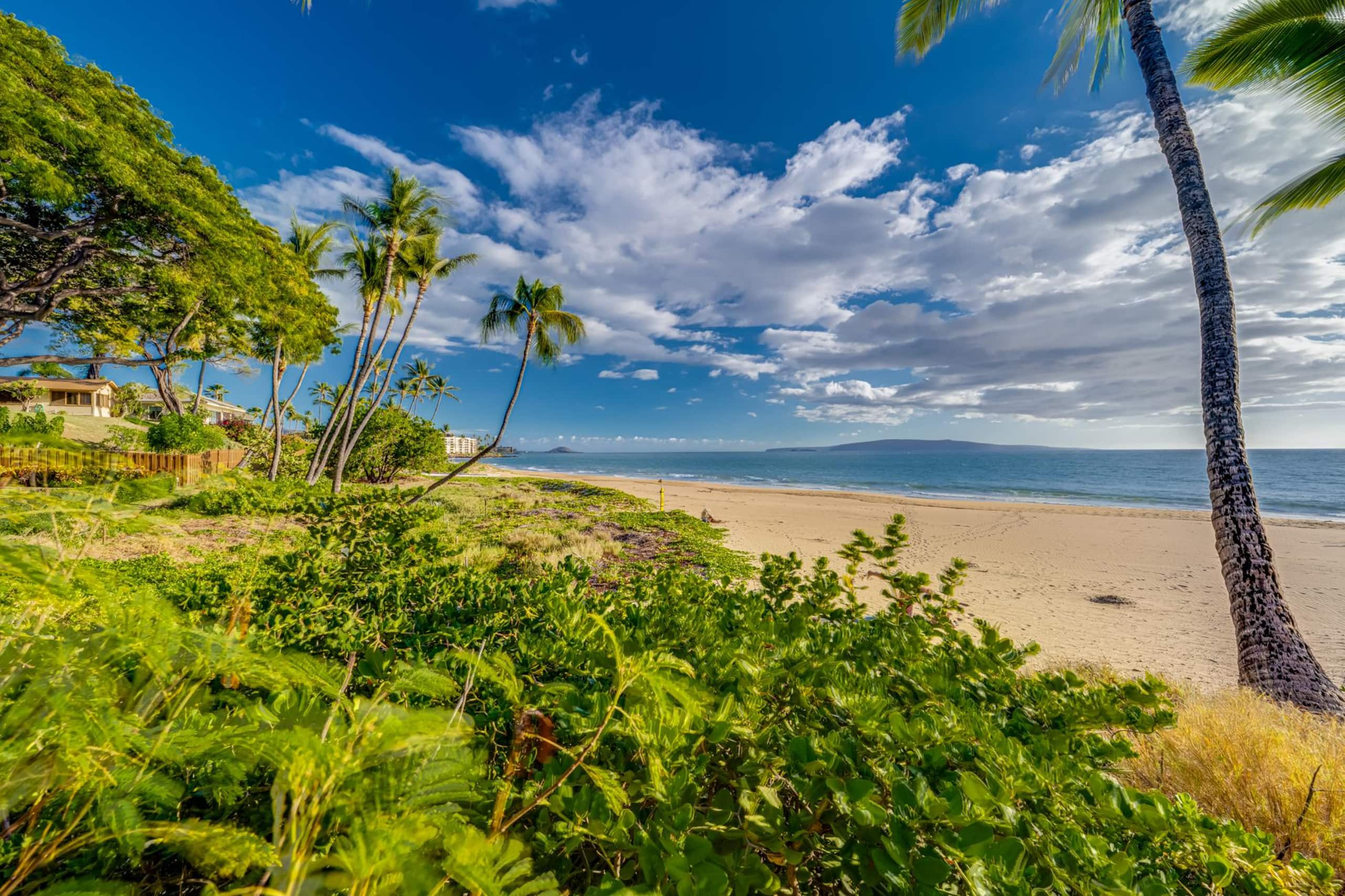 Maui Kamaole One Beachfront Condo at Charley Young - Image 51