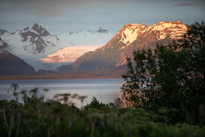 Benchwarmer's Bliss - Homer, AK