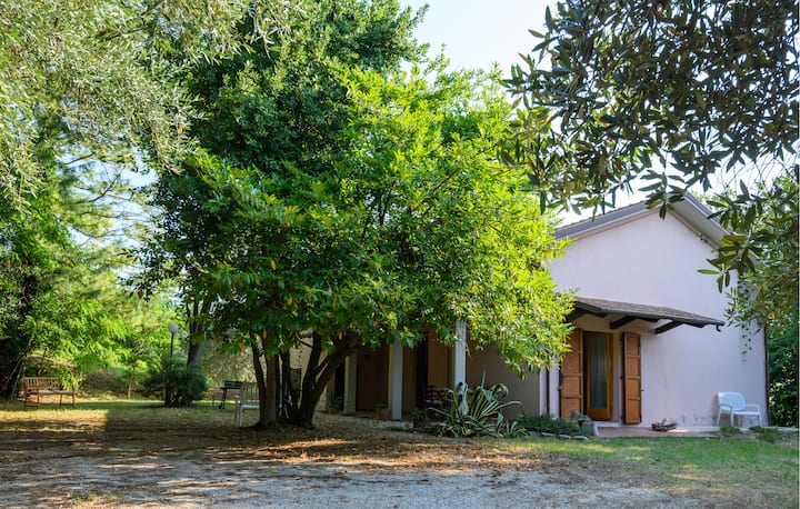 Stunning Home In Fano With Wifi - Fano