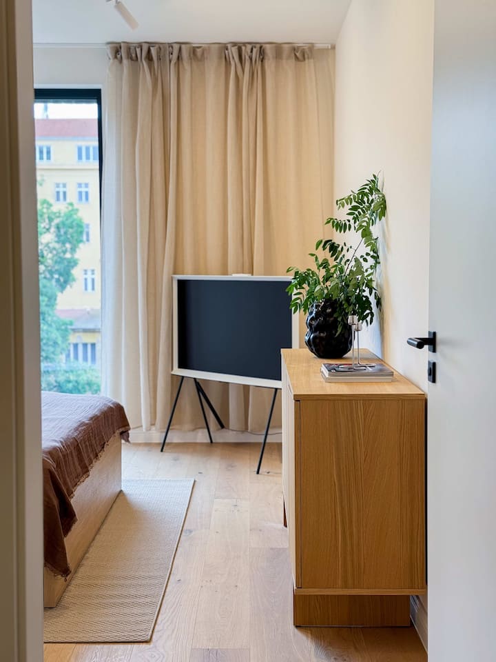 TV so službou Netflix