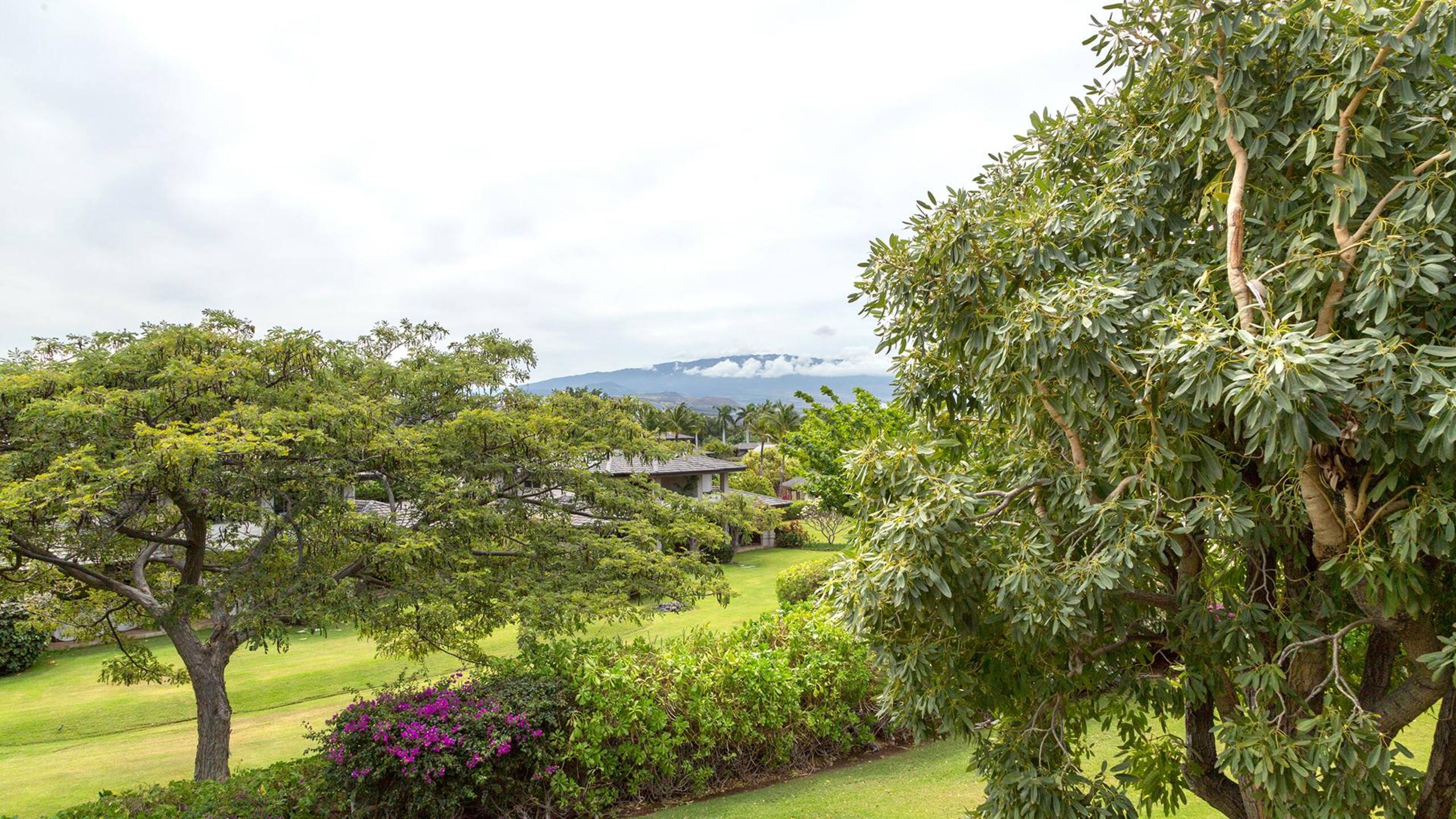 Home in Waimea · ★5.0 · 3 bedrooms · 4 beds · 3.5 baths - Image 37