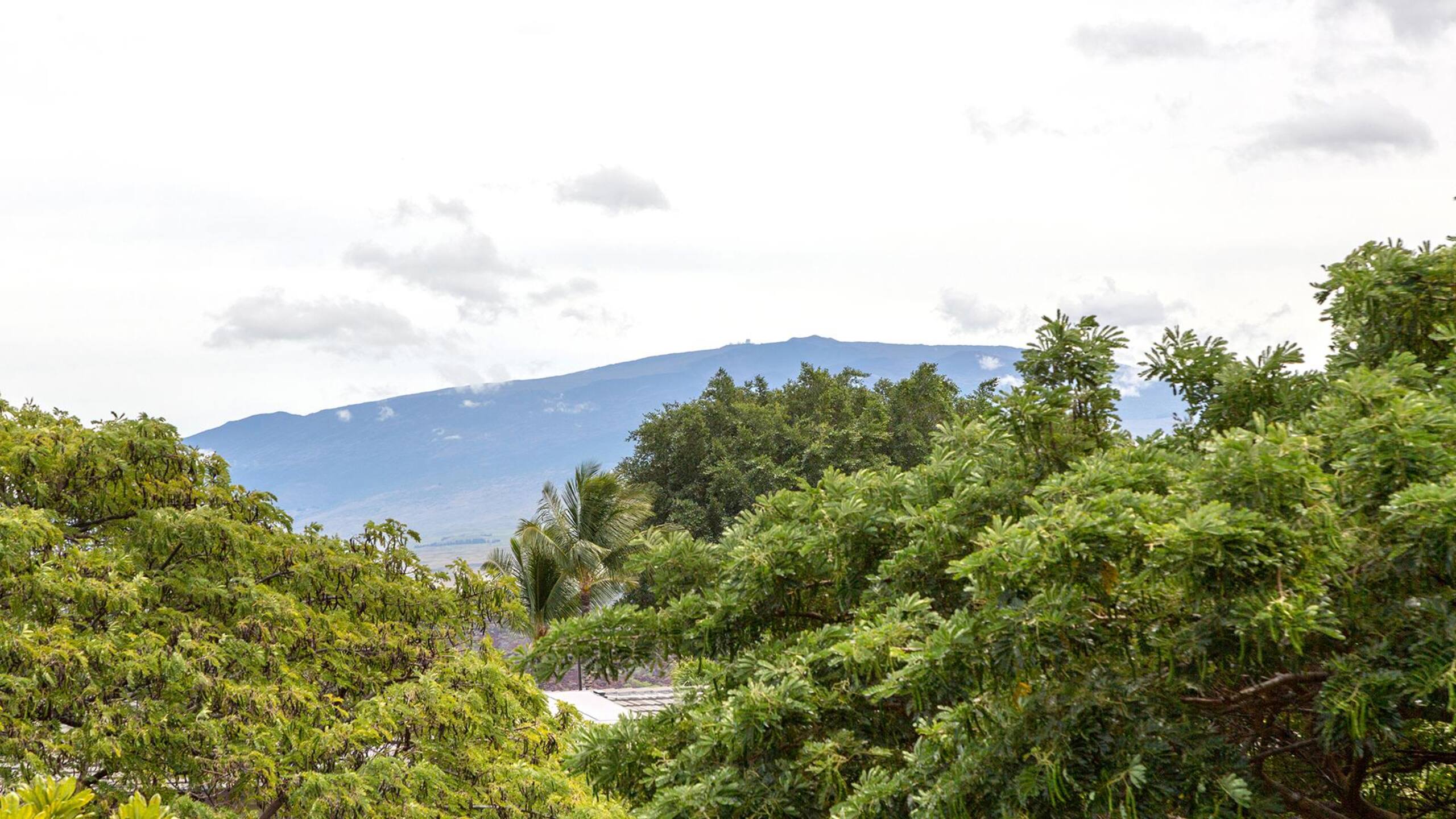 Home in Waimea · ★5.0 · 3 bedrooms · 4 beds · 3.5 baths - Image 36