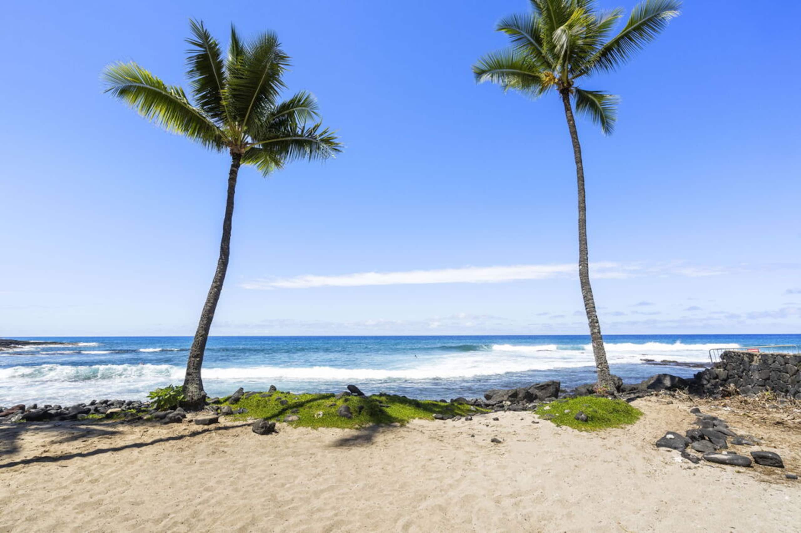 Condo in Kailua-Kona · ★4.64 · 1 bedroom · 2 beds · 1 bath - Image 30