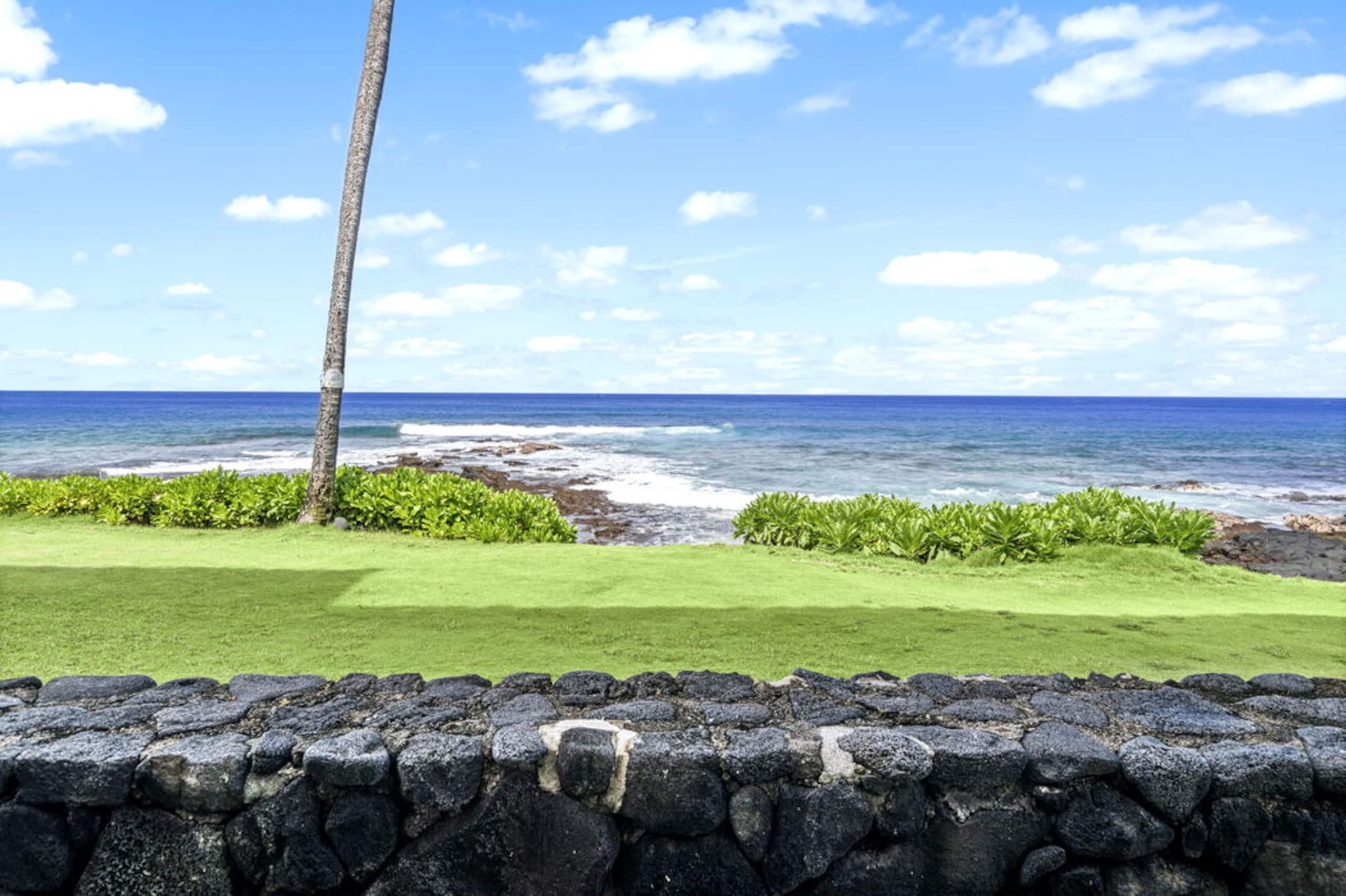 Condo in Kailua-Kona · ★4.64 · 1 bedroom · 2 beds · 1 bath - Image 9