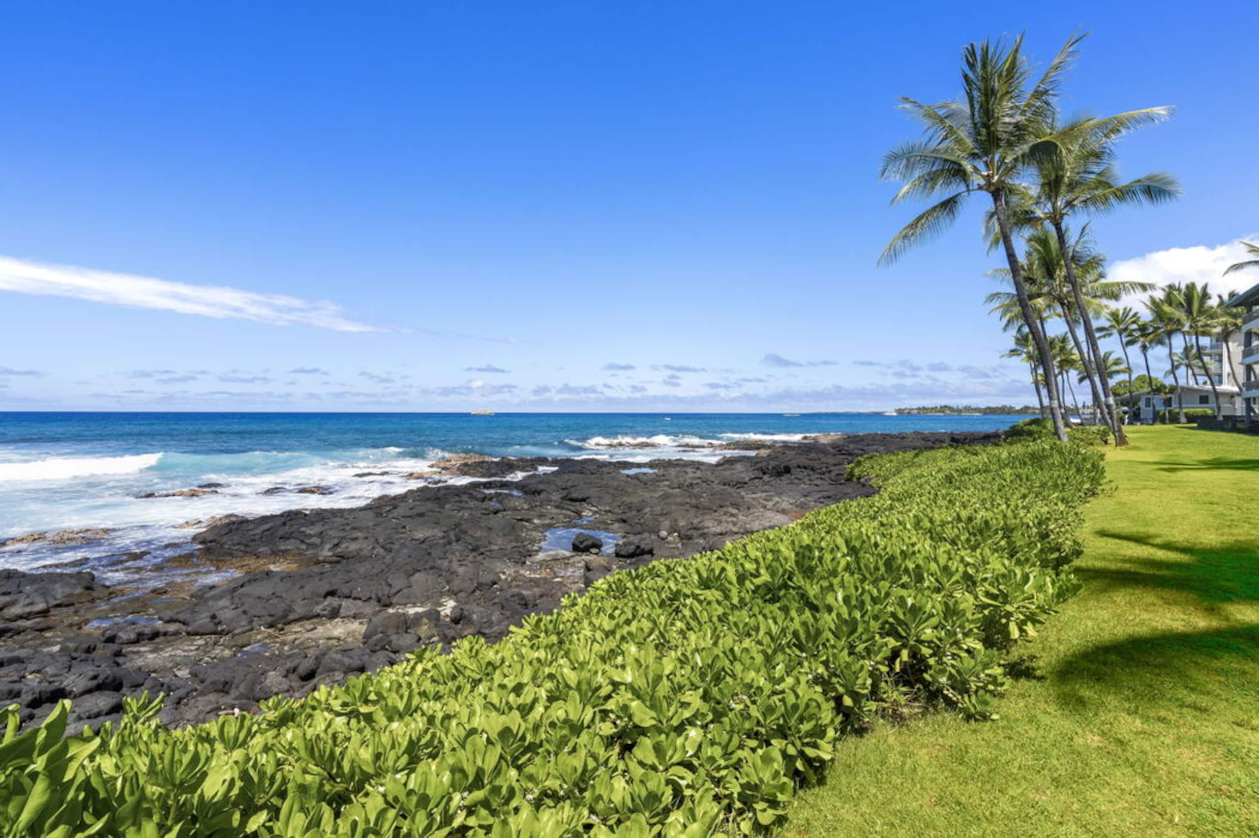 Condo in Kailua-Kona · ★4.64 · 1 bedroom · 2 beds · 1 bath - Image 24