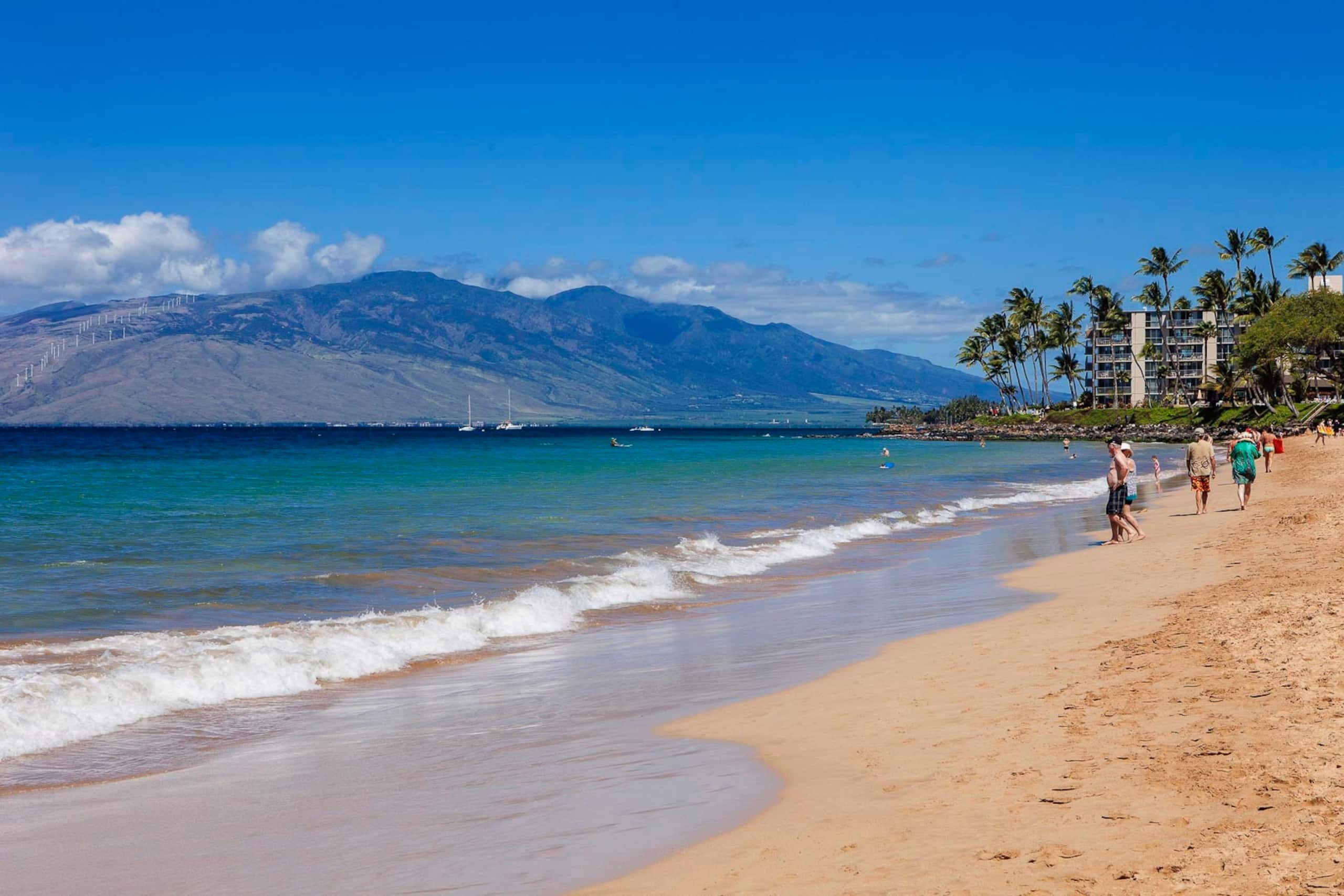 Condo in Kihei · ★4.27 · 1 bedroom · 2 beds · 1 bath - Image 27
