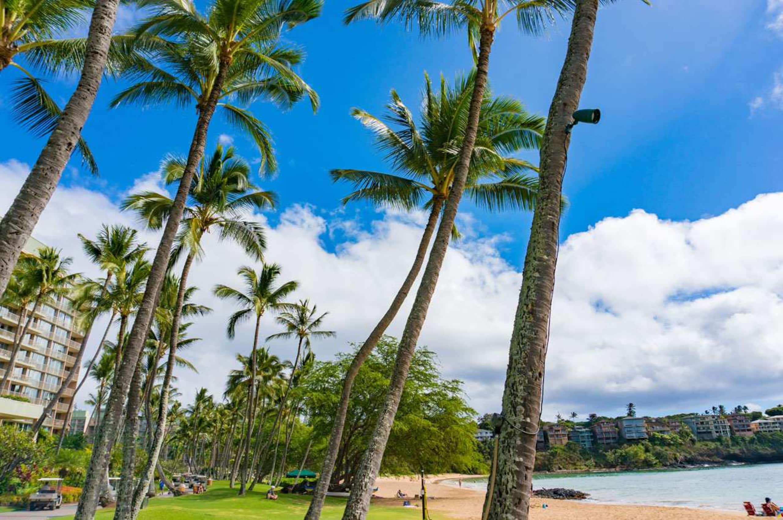 Condo in Lihue · ★4.29 · 2 bedrooms · 2 beds · 2 baths - Image 41