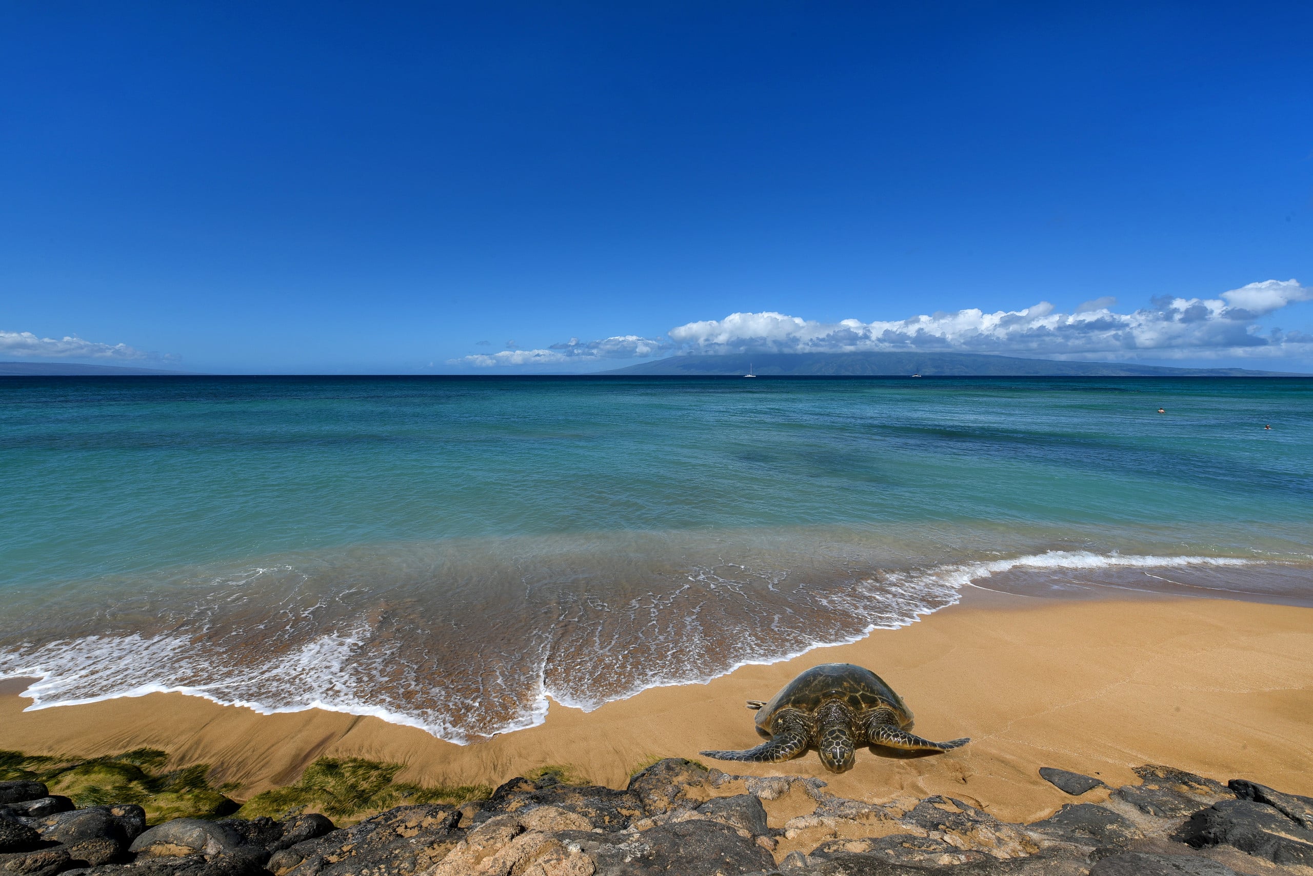 Condo in Lahaina · ★4.86 · 2 bedrooms · 4 beds · 2 baths - Image 31