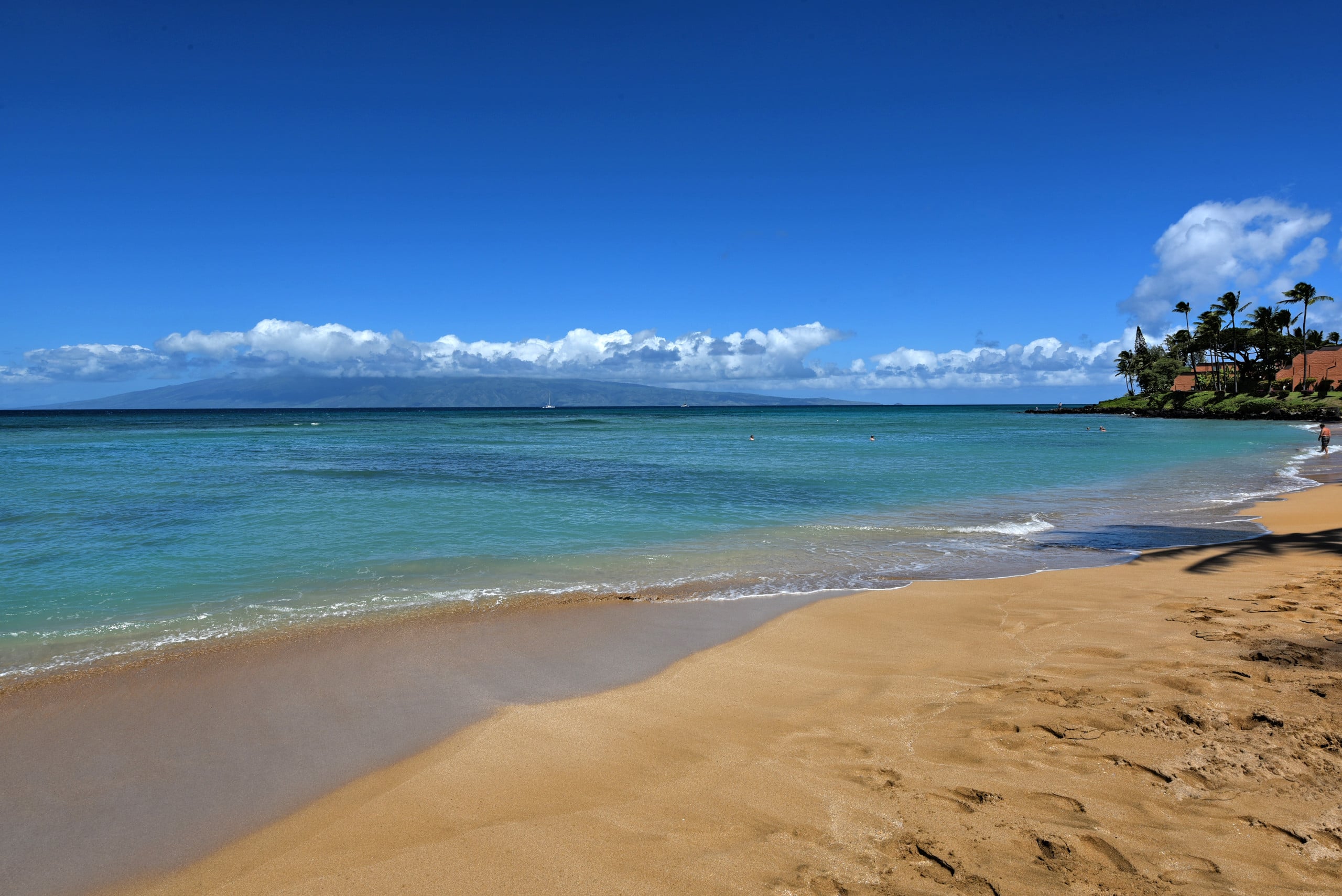 Condo in Lahaina · ★4.86 · 2 bedrooms · 4 beds · 2 baths - Image 32