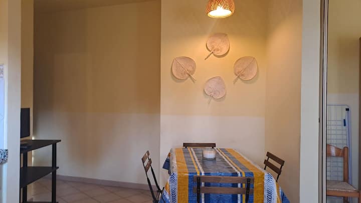 The Franco Apartment - Capraia Isola