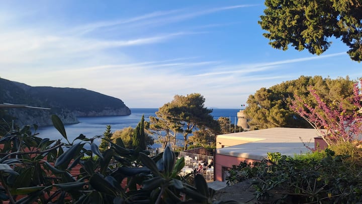 The Franco Apartment - Capraia Isola