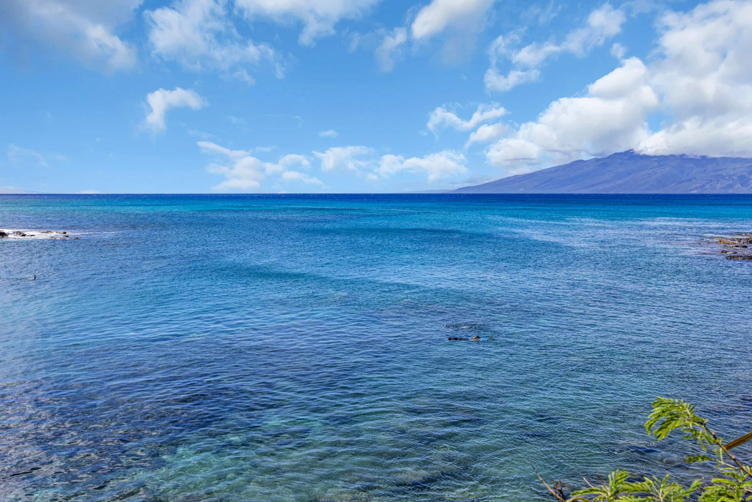 Condo in Lahaina · ★4.25 · 1 bedroom · 2 beds · 1 bath - Image 49