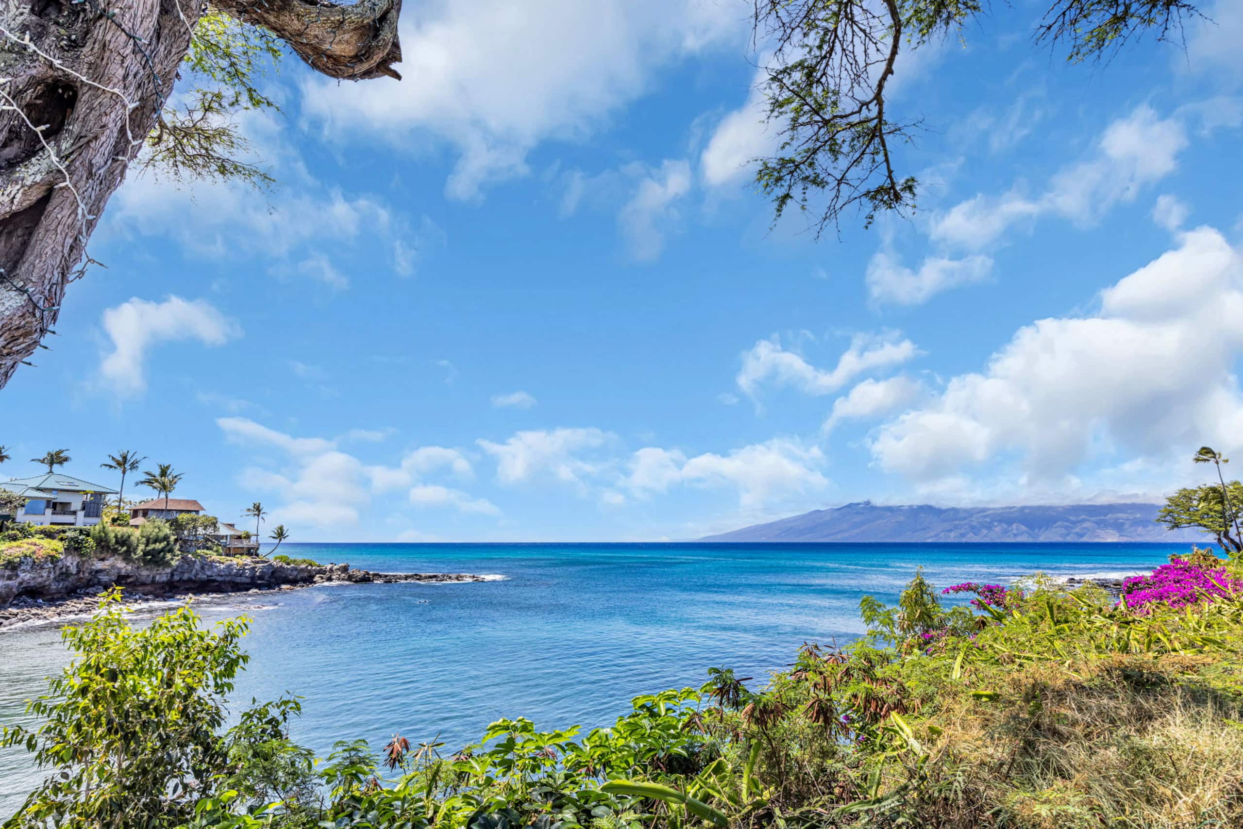 Condo in Lahaina · ★4.25 · 1 bedroom · 2 beds · 1 bath - Image 33