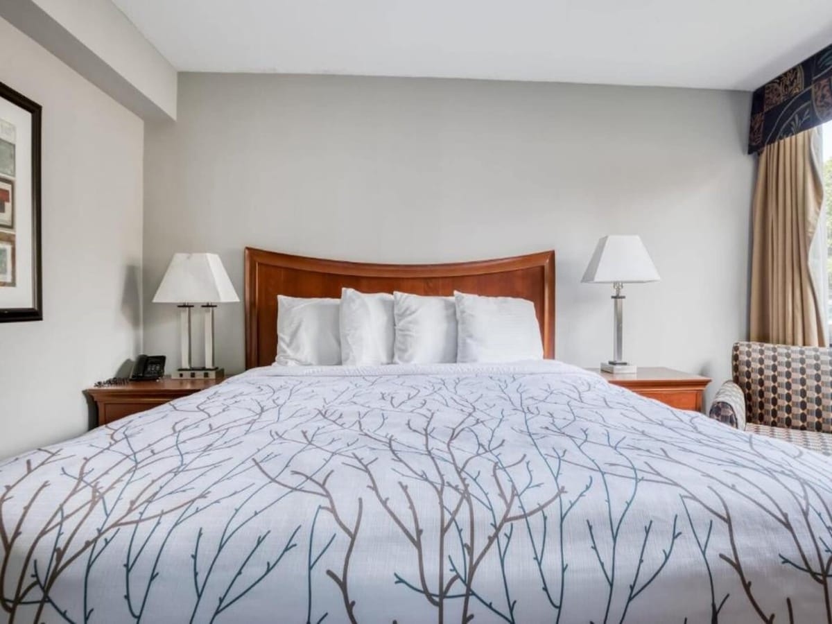 A spacious bedroom features a king bed with a patterned white and grey blanket. Two bedside lamps are positioned on wooden nightstands, and a cozy armchair is visible in the corner. Soft natural light filters through a nearby window, enhancing the calming atmosphere.