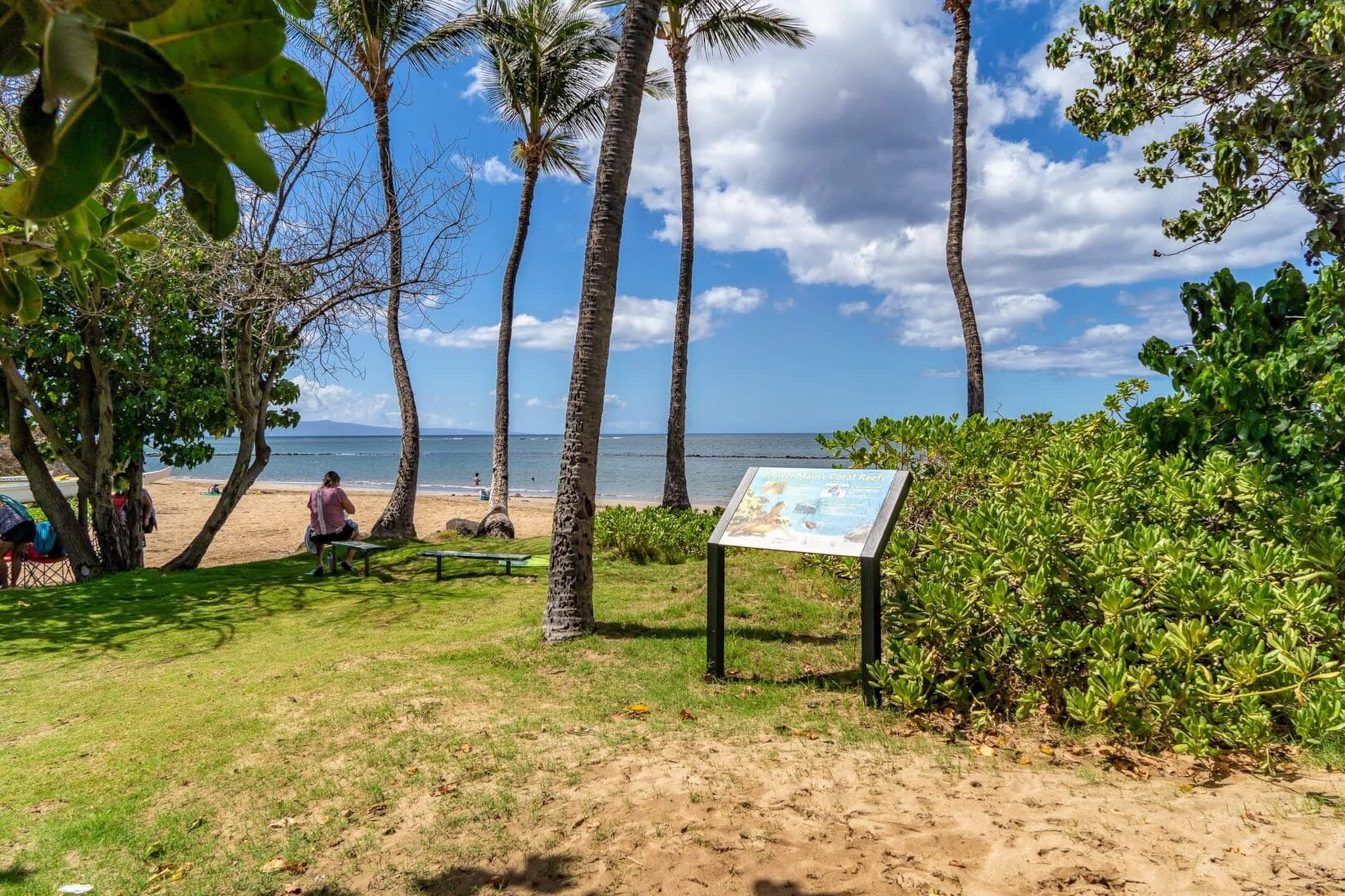 Updated Studio next to Beach - Image 49