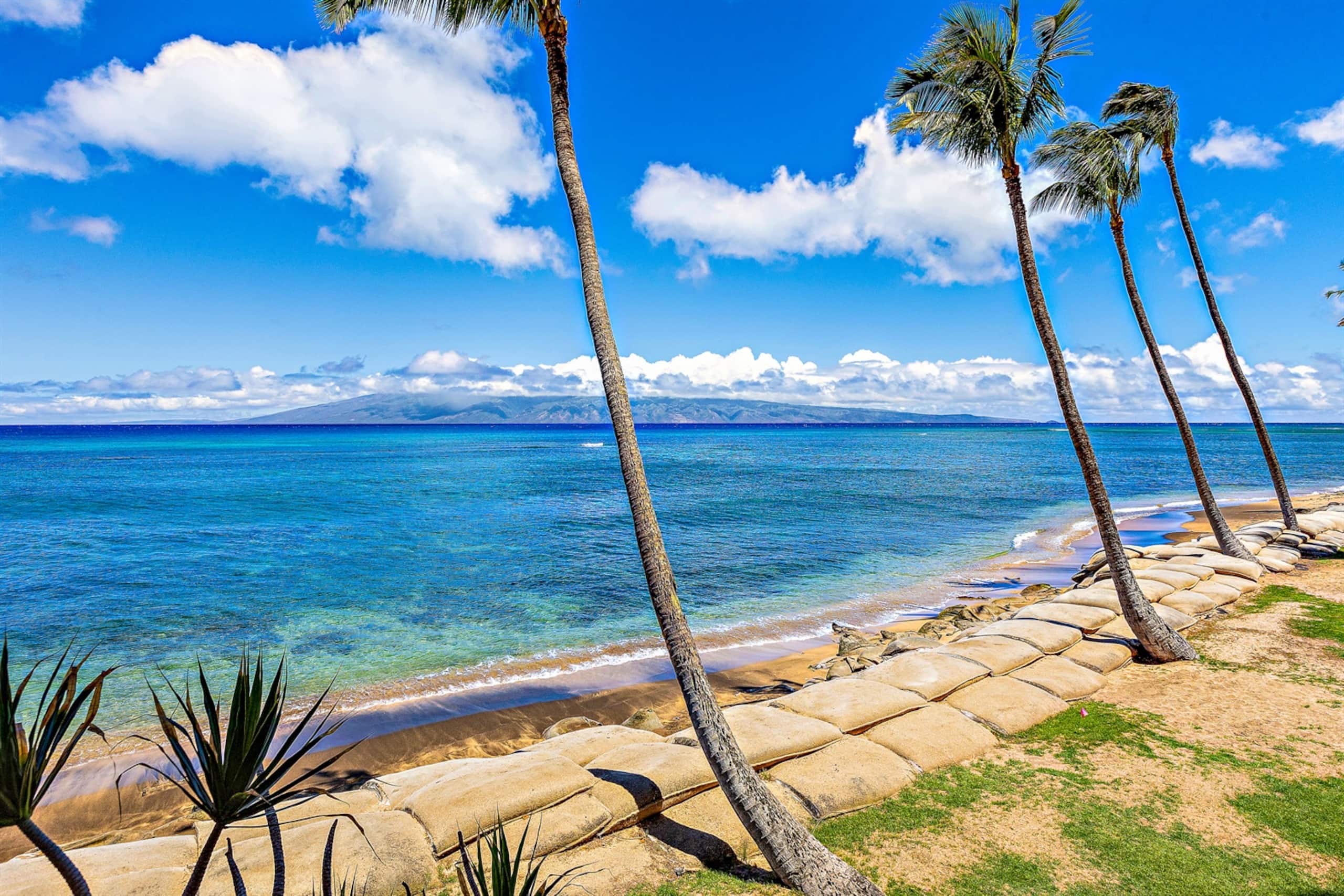 Condo in Lahaina · ★4.97 · 1 bedroom · 2 beds · 1 private bath - Image 32