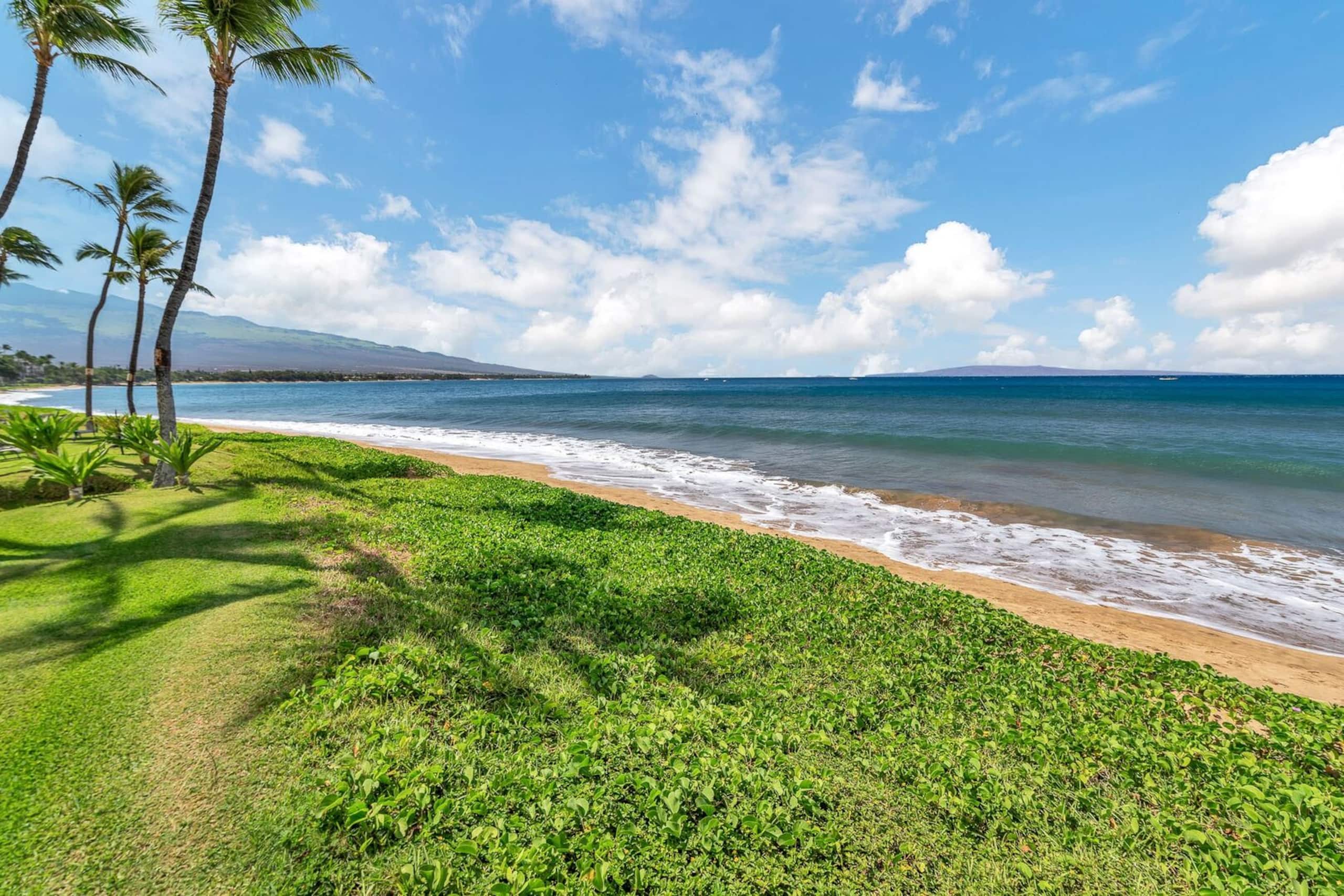 Ground Floor next to the 5 Miles of Sandy Beach - Image 40