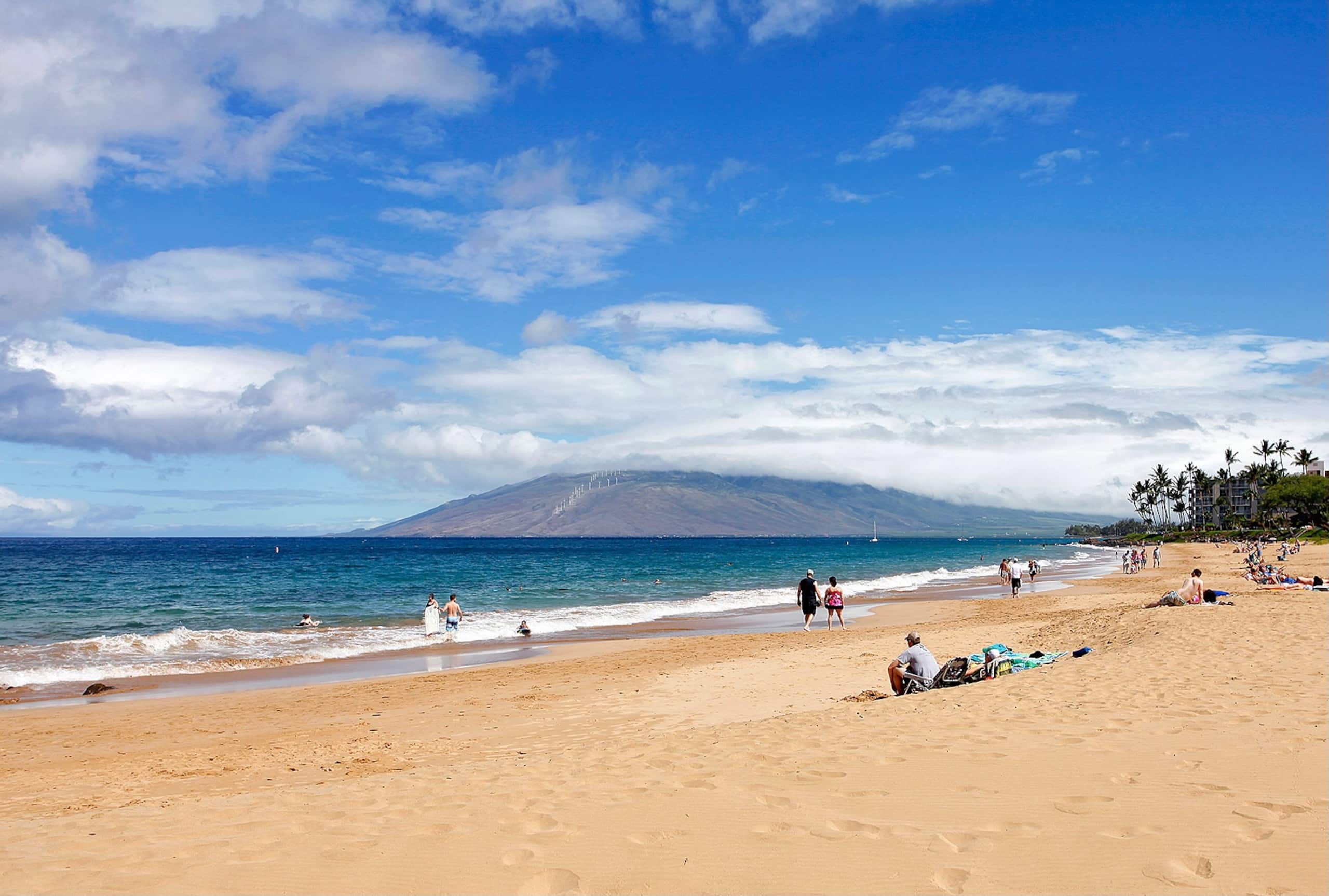 Condo in Kihei · ★5.0 · Studio · 1 bed · 1 private bath - Image 16