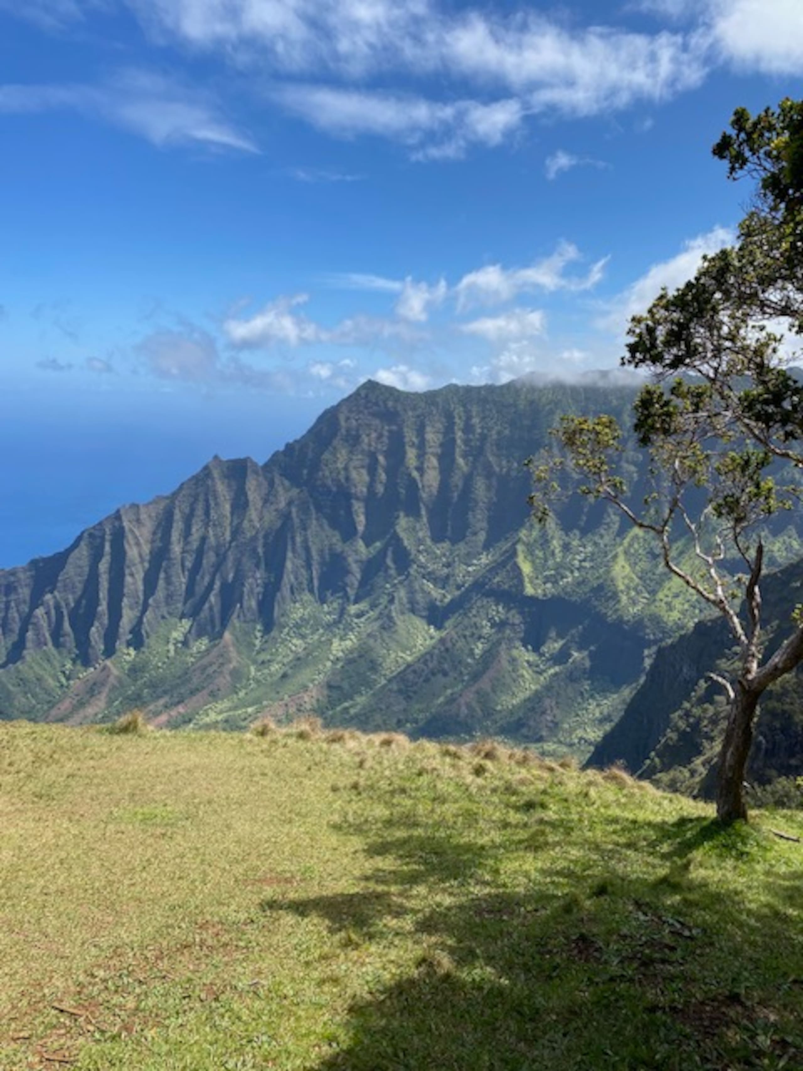 Hale Hana Mana’o w/ Garden Views, Walk to Anini - Photo 25